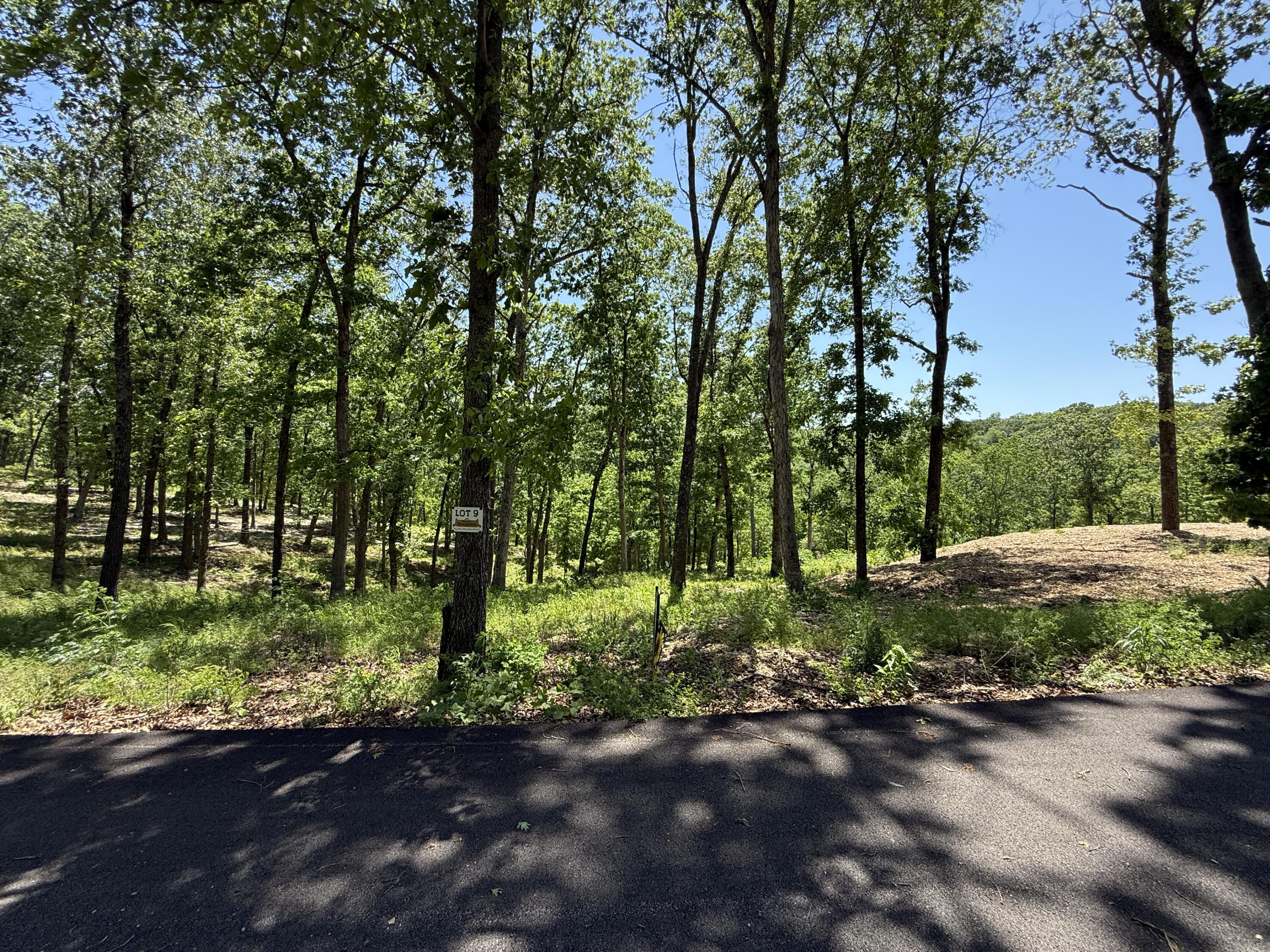 Photo 3 - Land for sale – Lot 9  Riverpointe View   Ozark, MO
