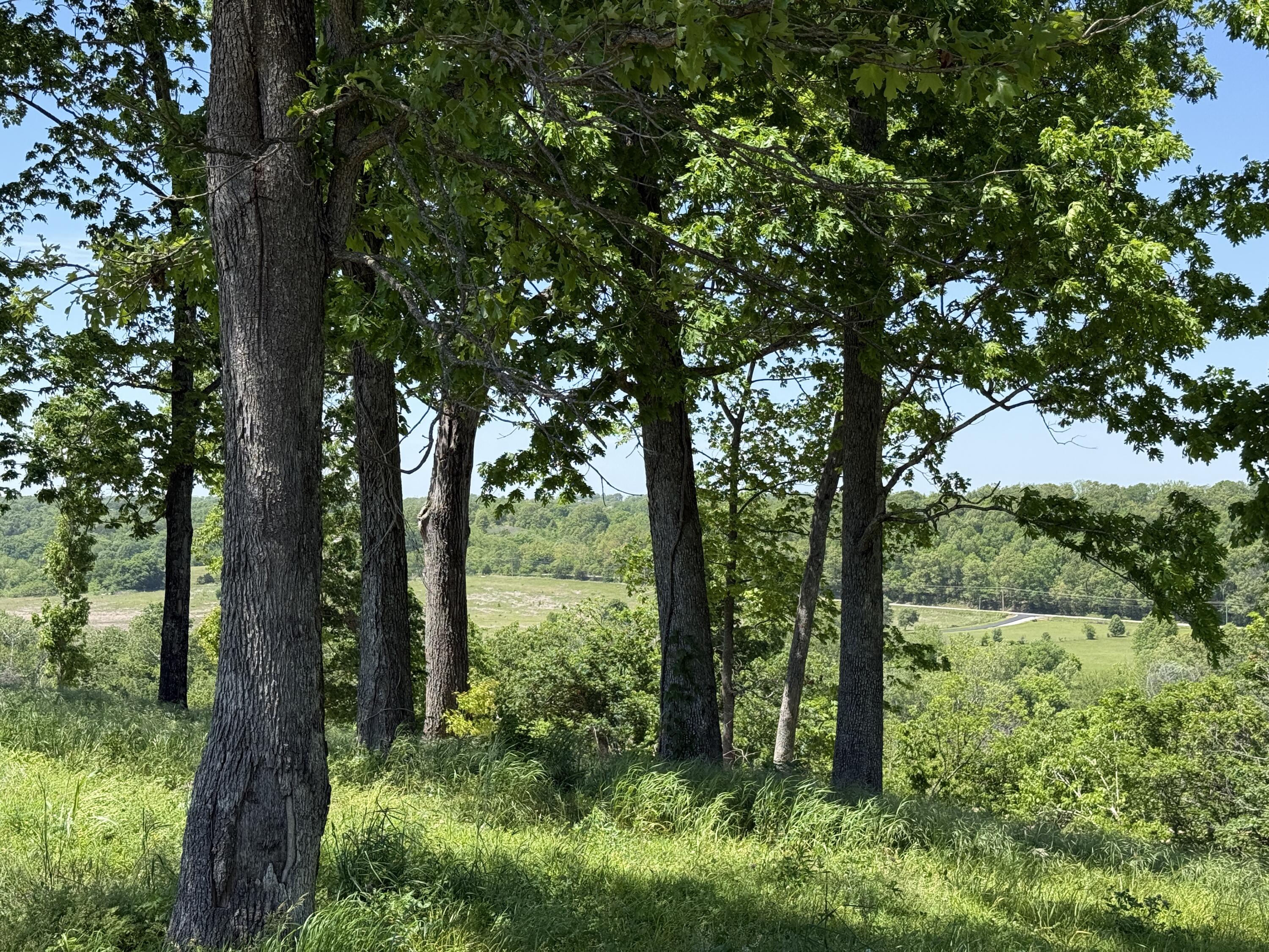 Photo 7 - Land for sale – Lot 14a  Riverpointe View   Ozark, MO