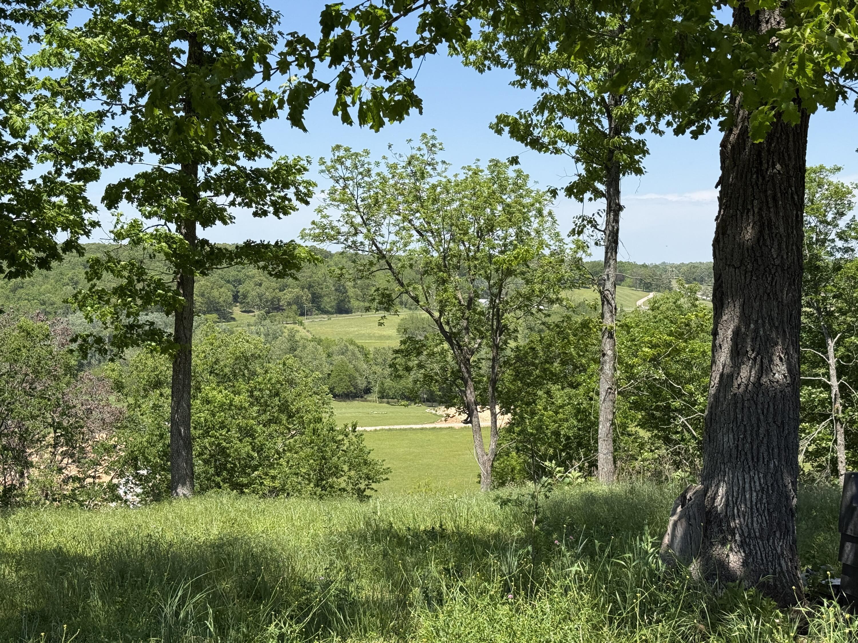 Photo 6 - Land for sale – Lot 14a  Riverpointe View   Ozark, MO