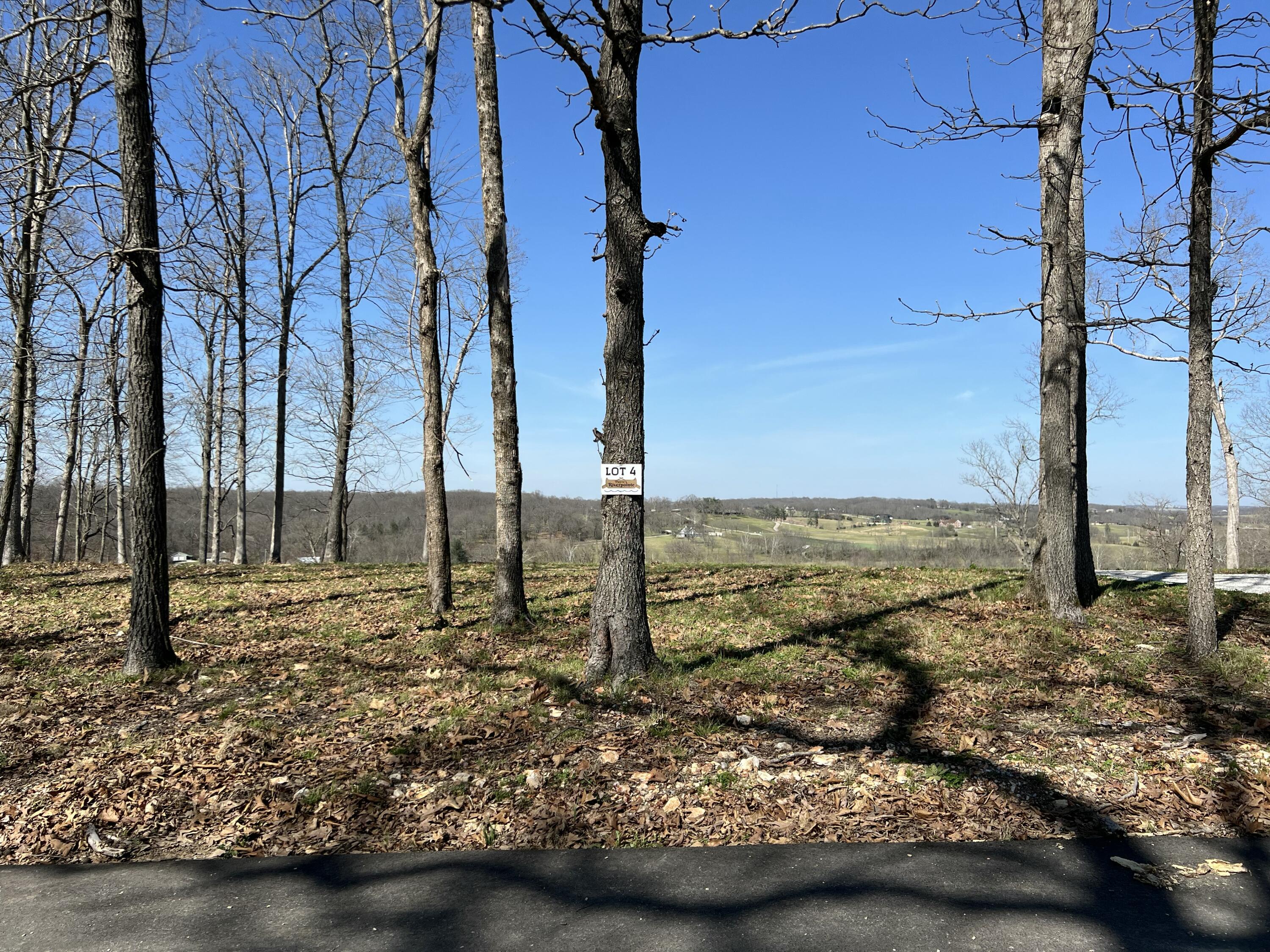 Photo 18 - Land for sale – Lot 4  Riverpointe View   Ozark, MO
