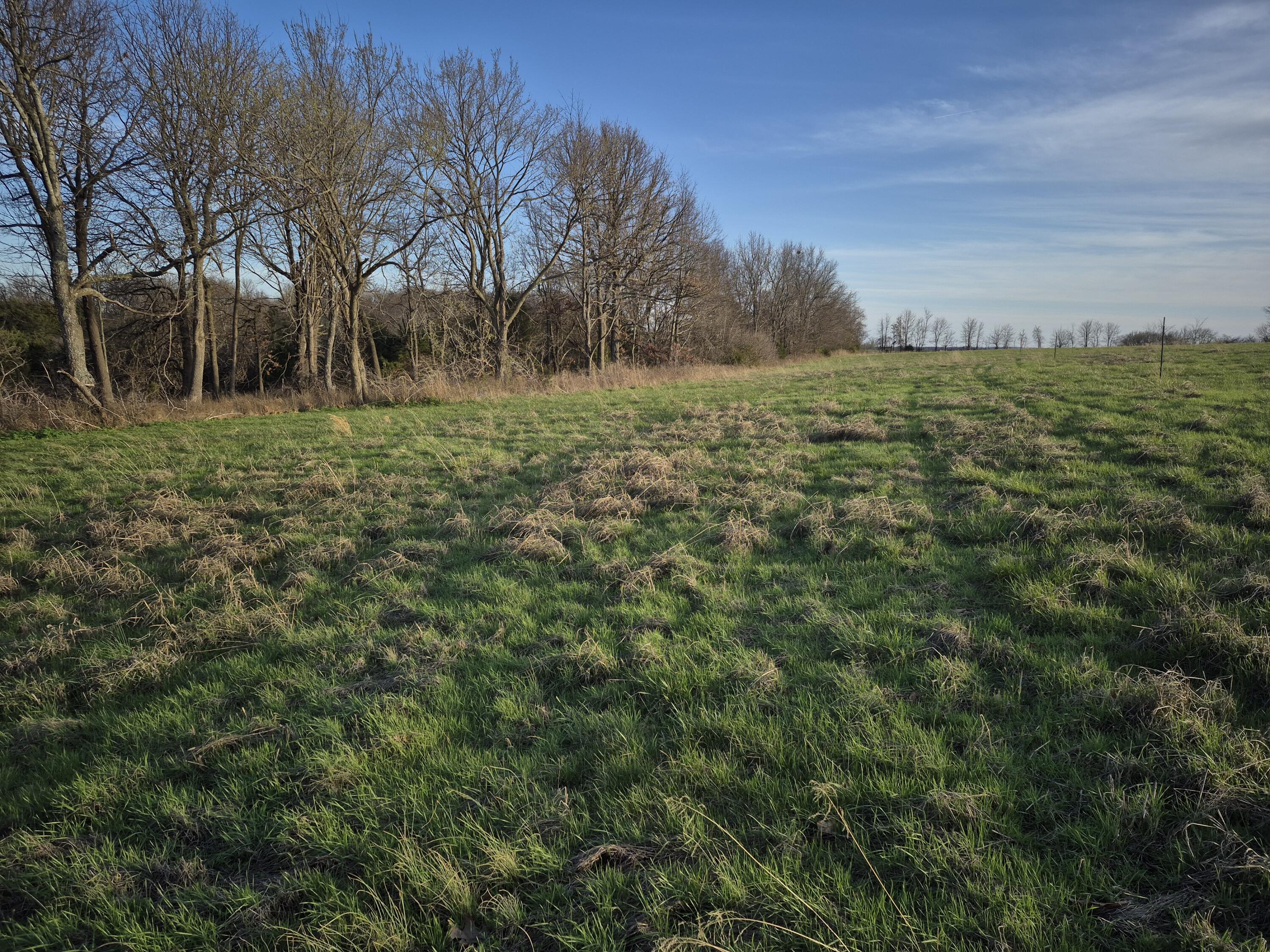 Photo 6 - Land for sale – 000 S Farm Road 11   Ash Grove, MO