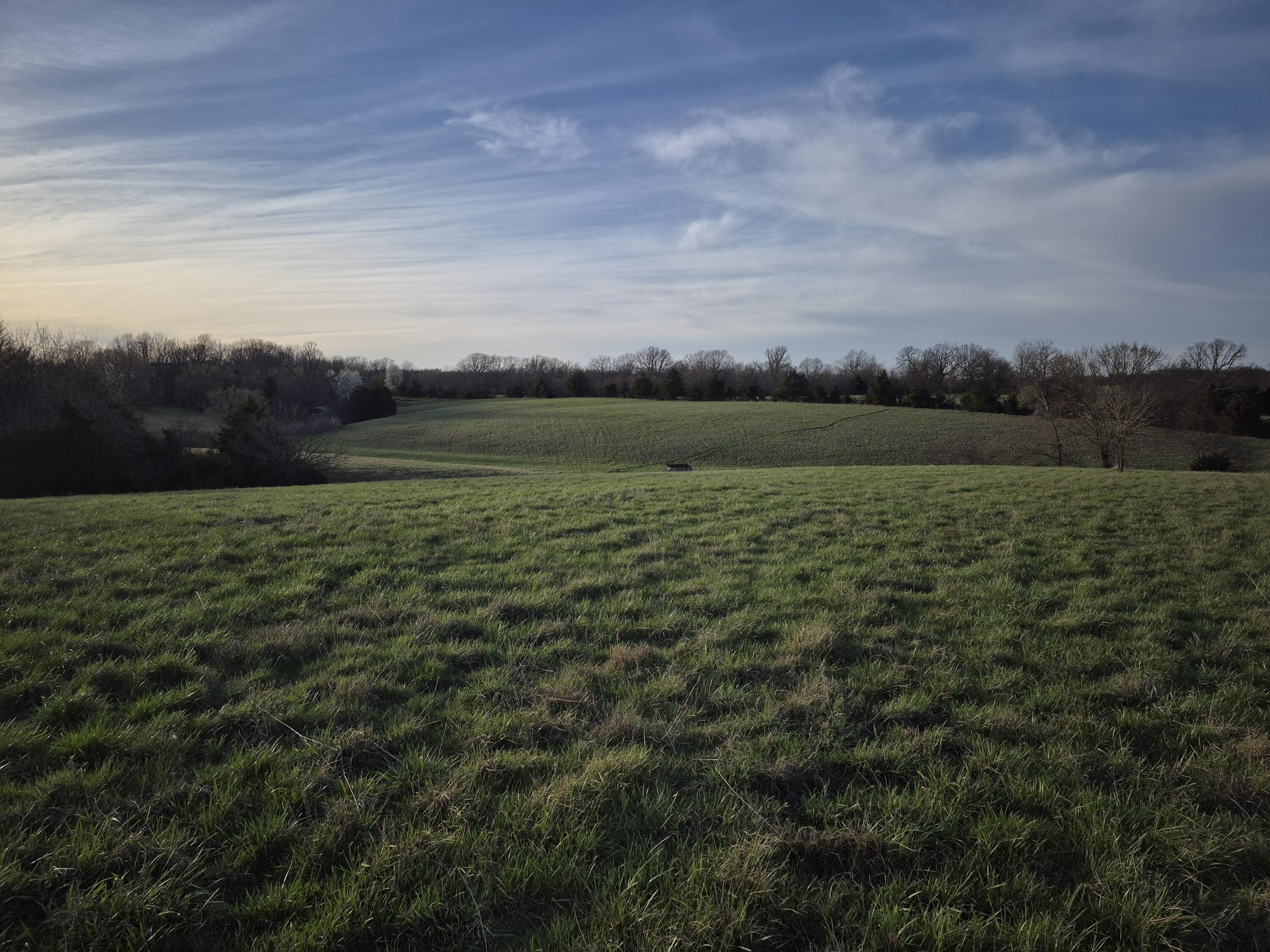 Photo 5 - Land for sale – 000 S Farm Road 11   Ash Grove, MO