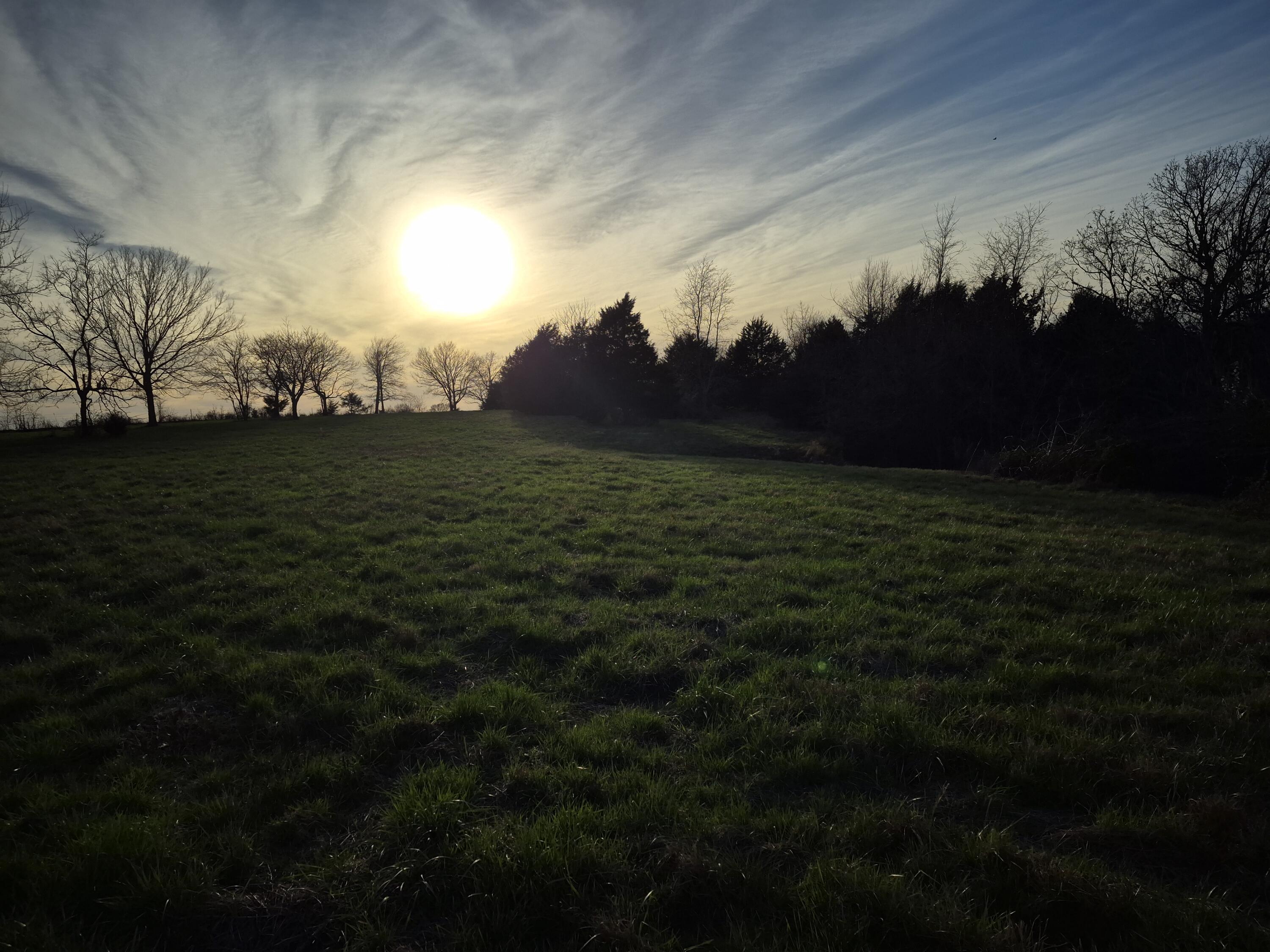 Photo 7 - Land for sale – 000 S Farm Road 11   Ash Grove, MO