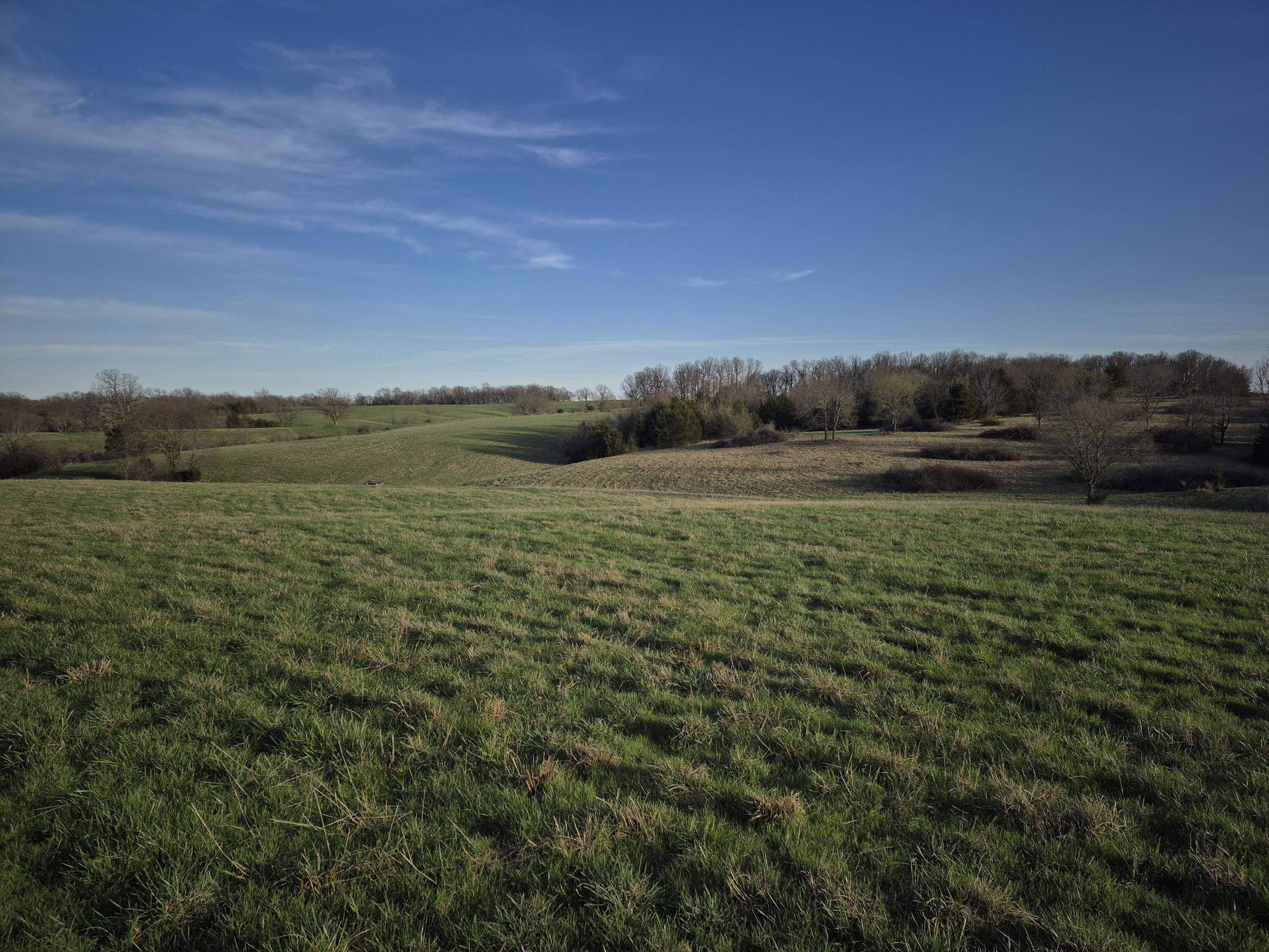 Photo 4 - Land for sale – 000 S Farm Road 11   Ash Grove, MO