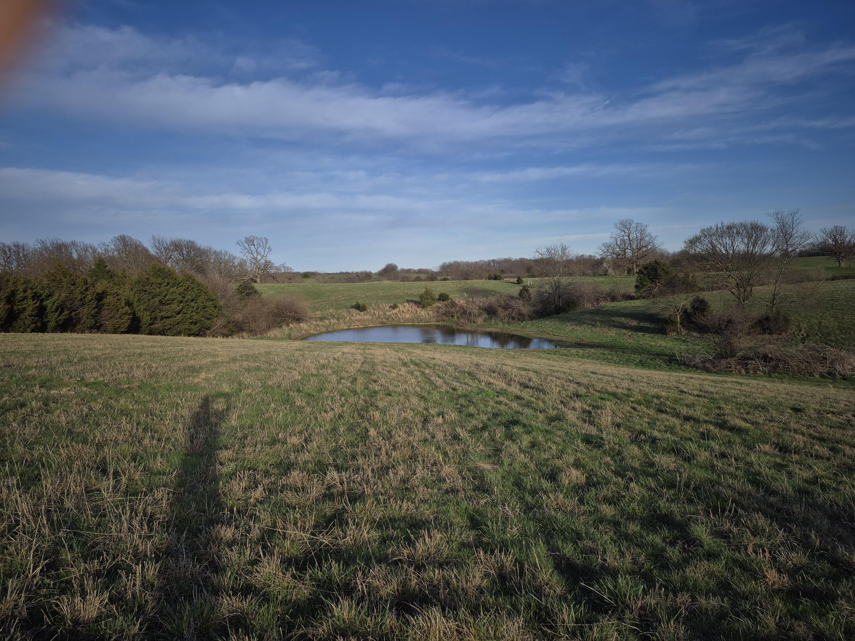Photo 3 - Land for sale – 000 S Farm Road 11   Ash Grove, MO