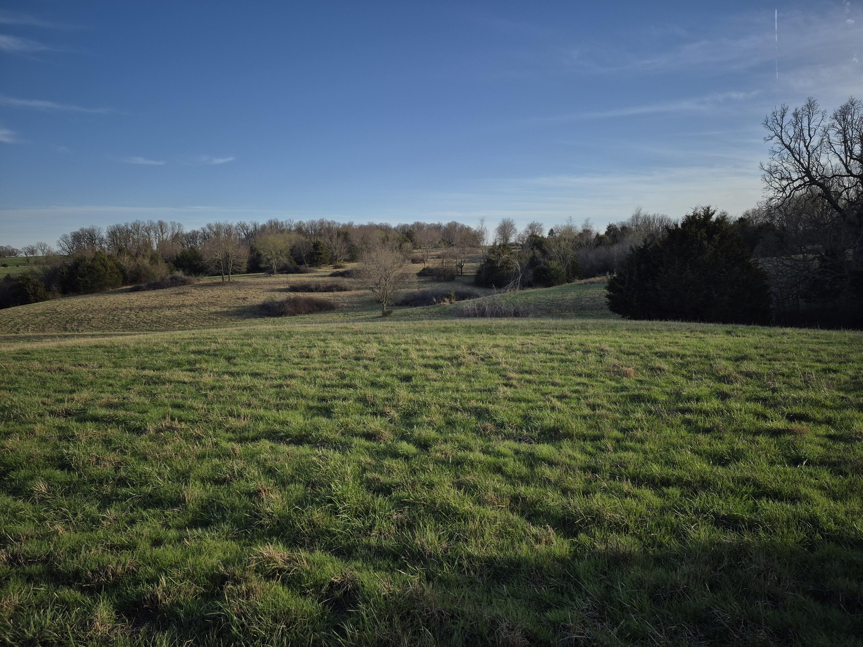 Photo 2 - Land for sale – 000 S Farm Road 11   Ash Grove, MO