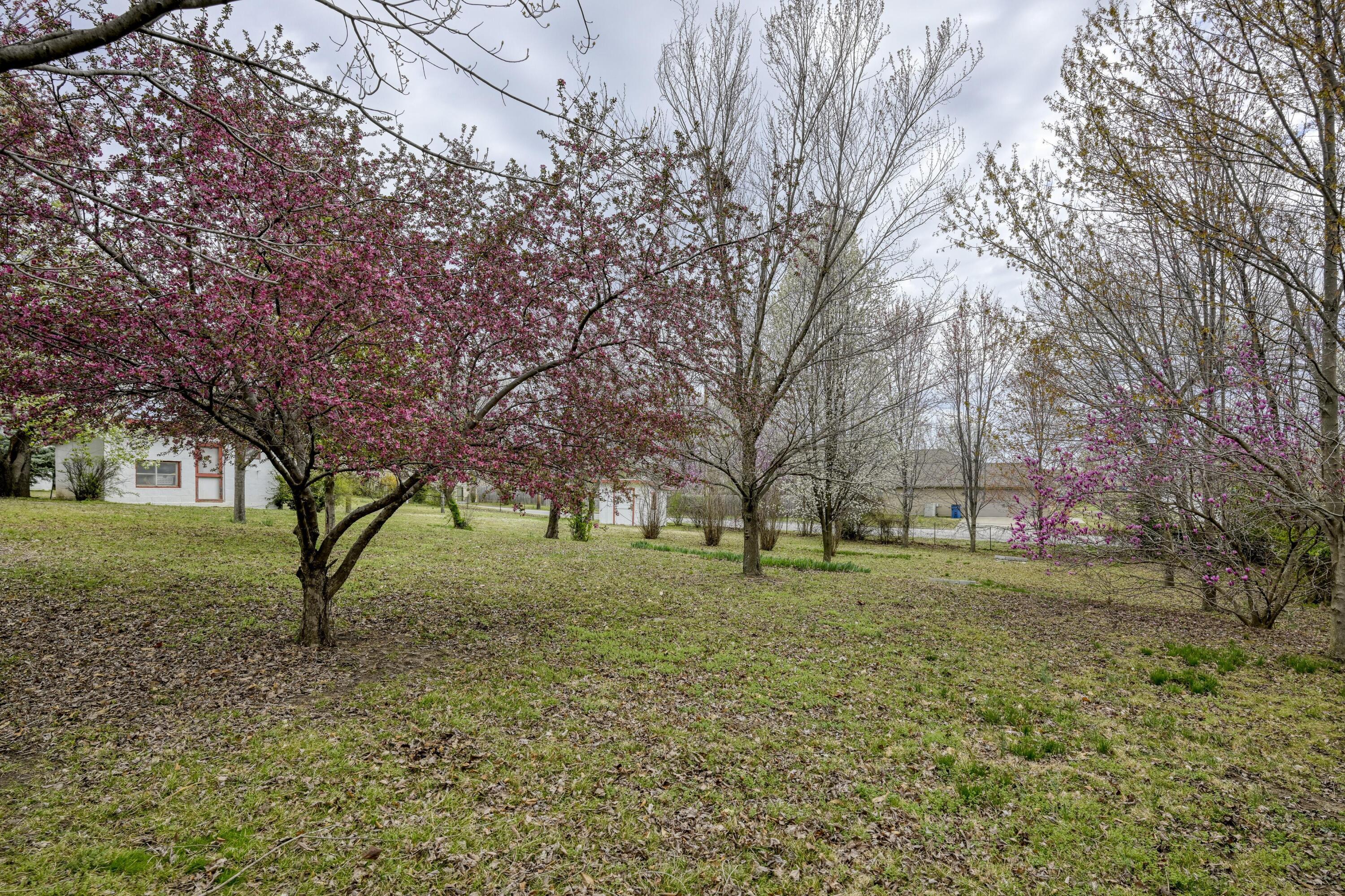 Photo 128 - Residential for sale – 2736 E 15th Street  Joplin, MO