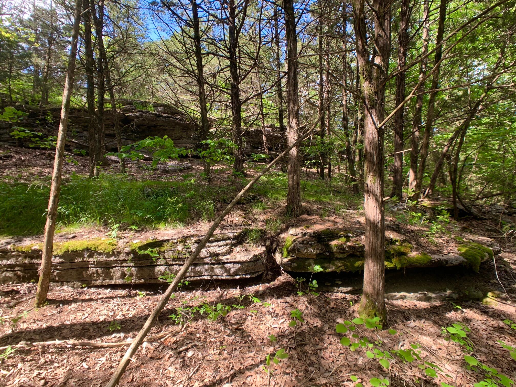 Photo 28 - Land for sale – 000  Farm Road 1280   Shell Knob, MO
