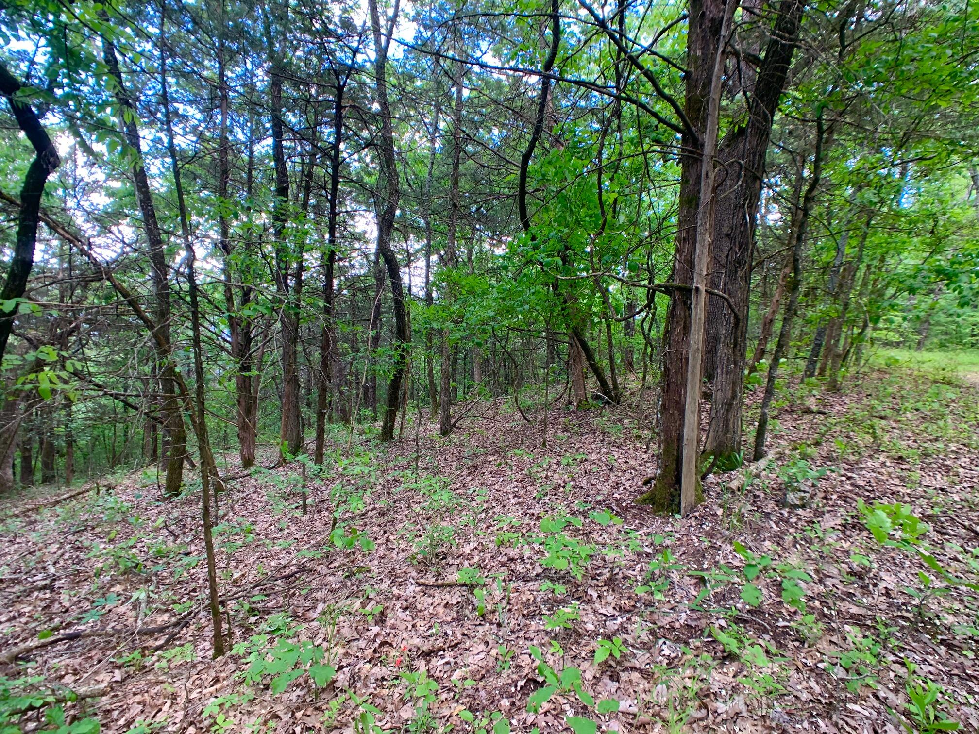 Photo 20 - Land for sale – 000  Farm Road 1280   Shell Knob, MO