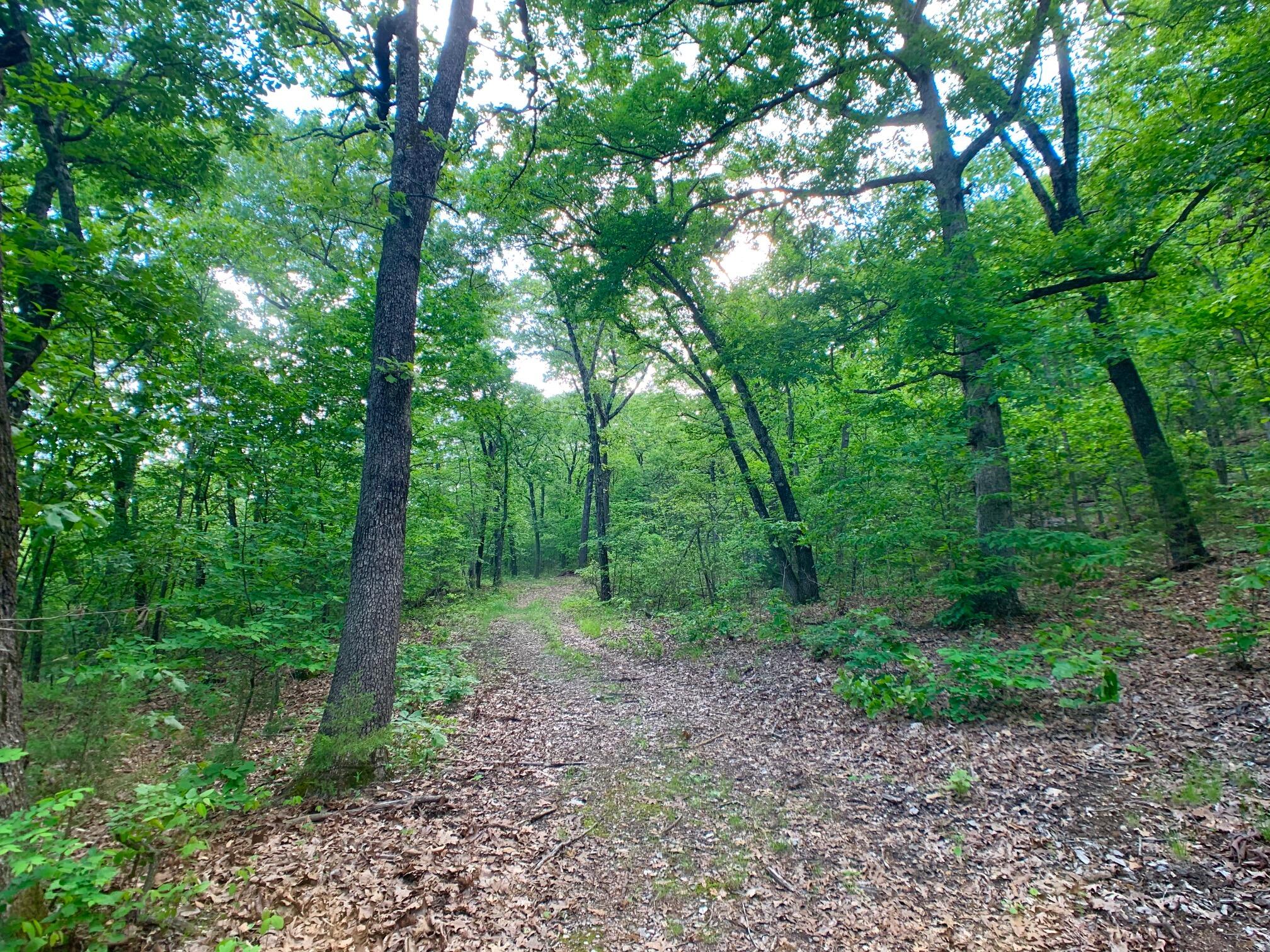 Photo 52 - Land for sale – 000  Farm Road 1280   Shell Knob, MO