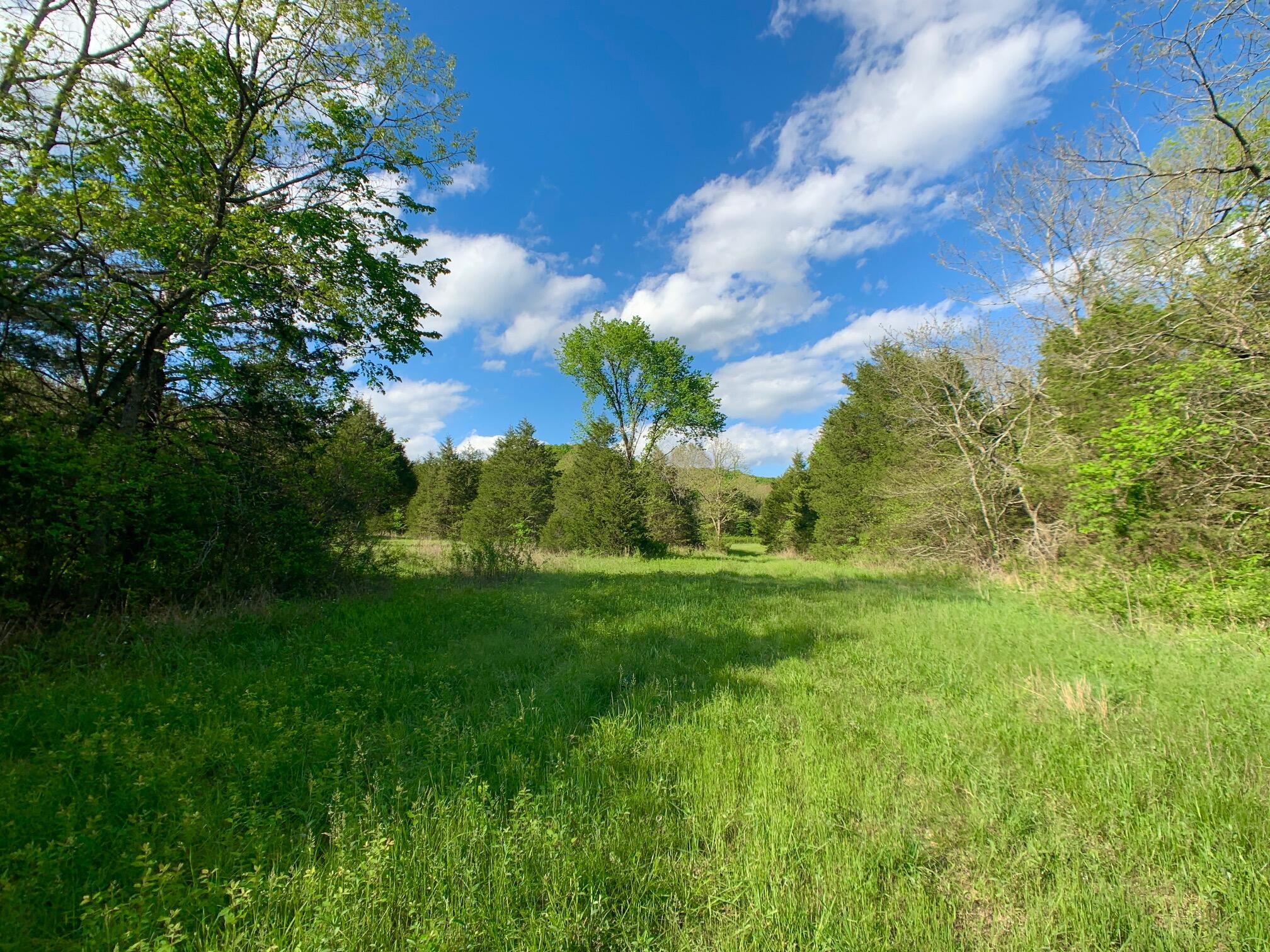 Photo 47 - Land for sale – 000  Farm Road 1280   Shell Knob, MO