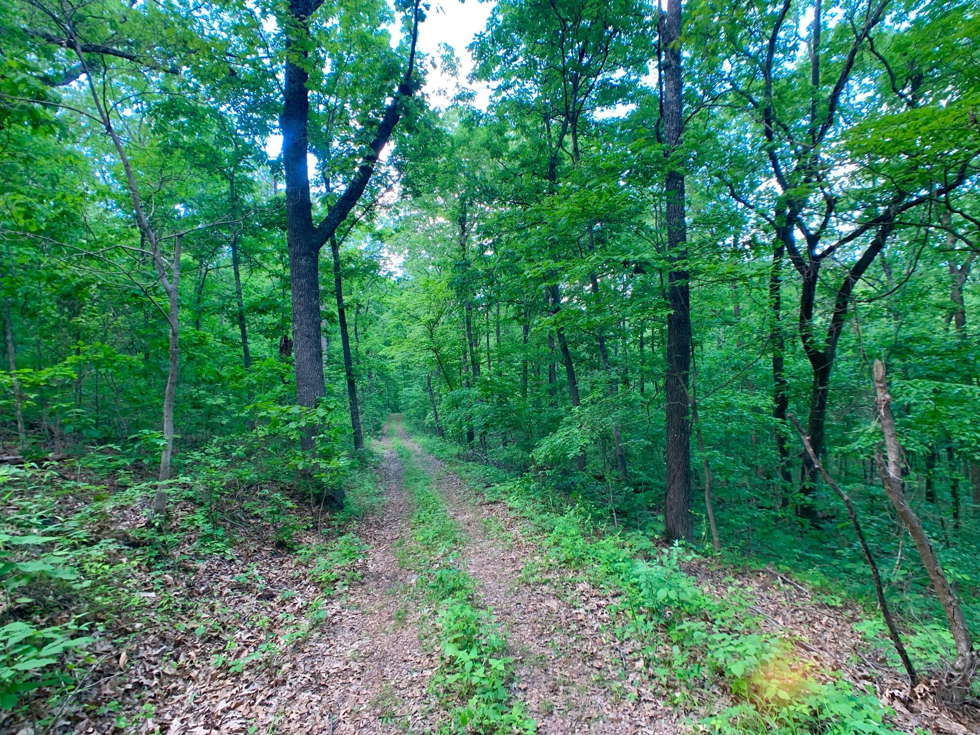 Photo 60 - Land for sale – 000  Farm Road 1280   Shell Knob, MO