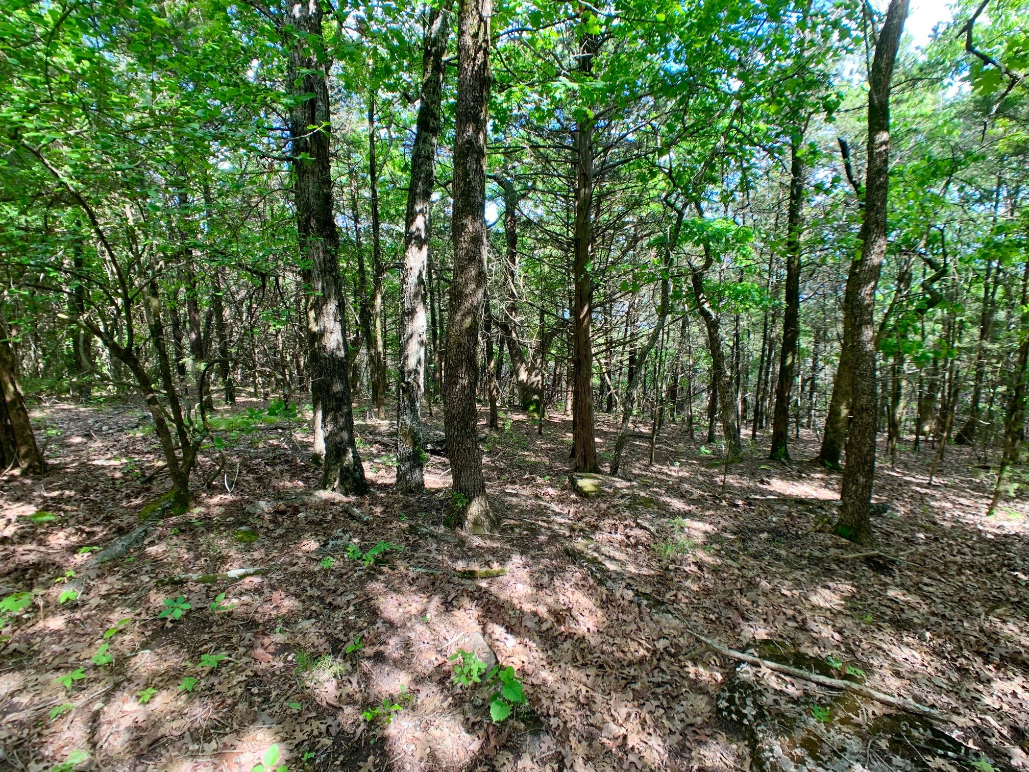 Photo 27 - Land for sale – 000  Farm Road 1280   Shell Knob, MO