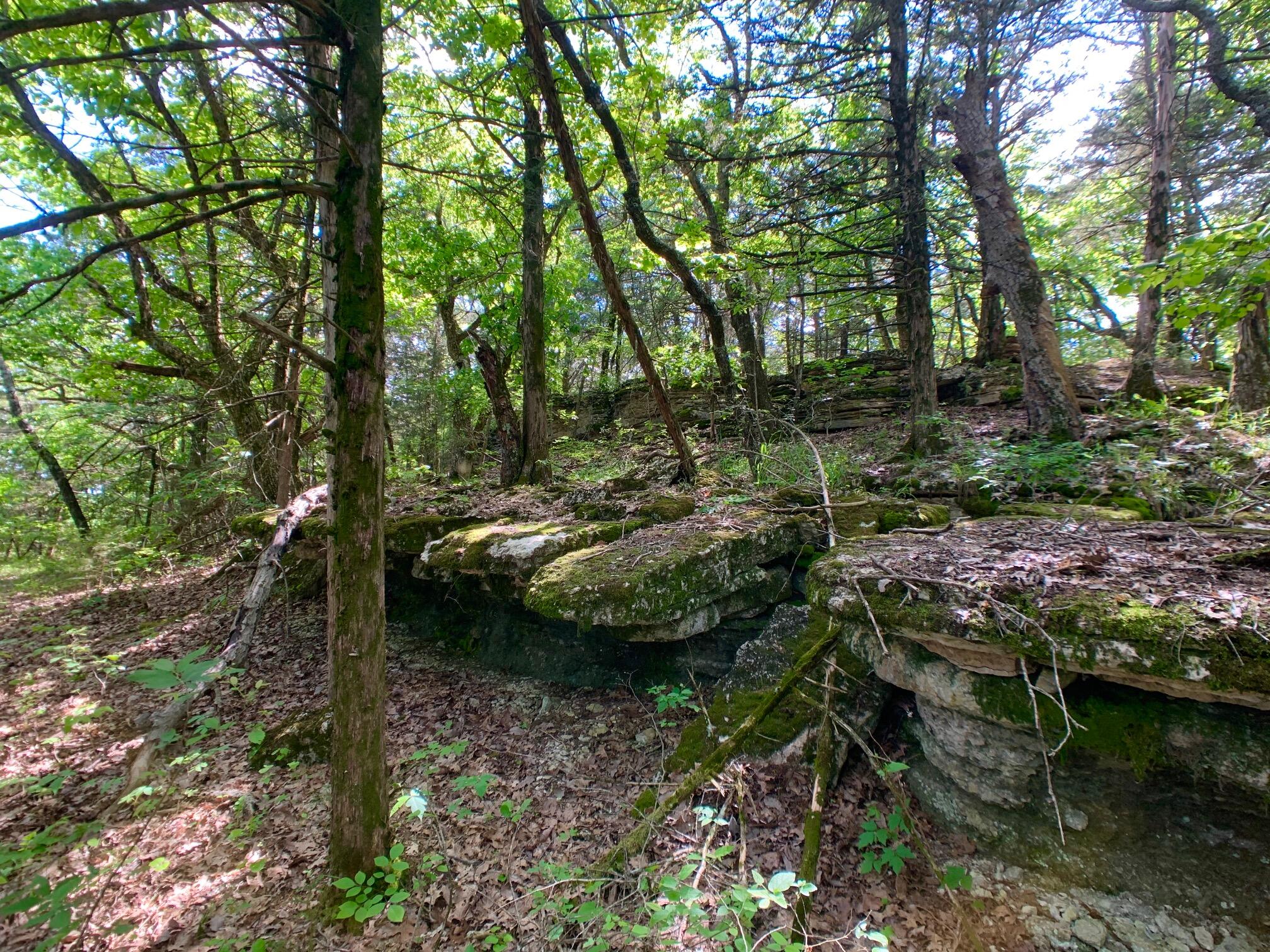Photo 24 - Land for sale – 000  Farm Road 1280   Shell Knob, MO