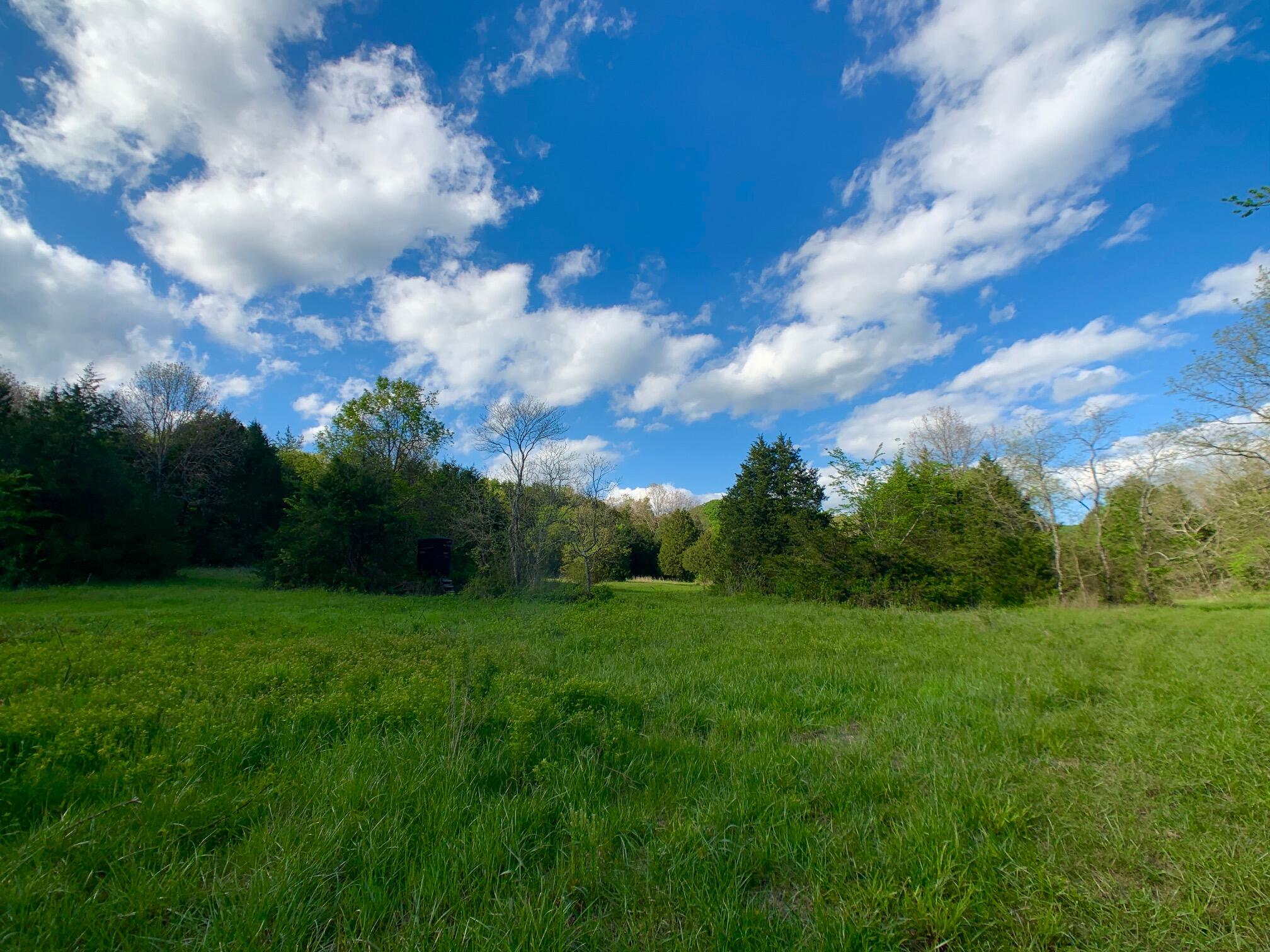 Photo 46 - Land for sale – 000  Farm Road 1280   Shell Knob, MO