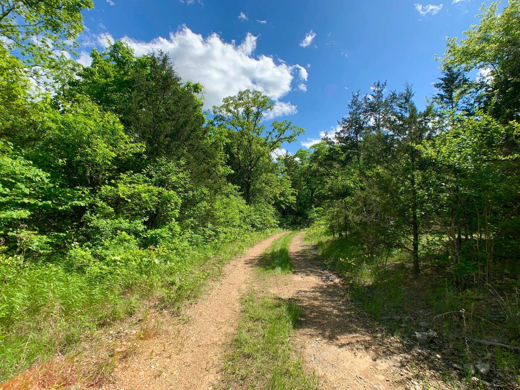 Photo 18 - Land for sale – 000  Farm Road 1280   Shell Knob, MO
