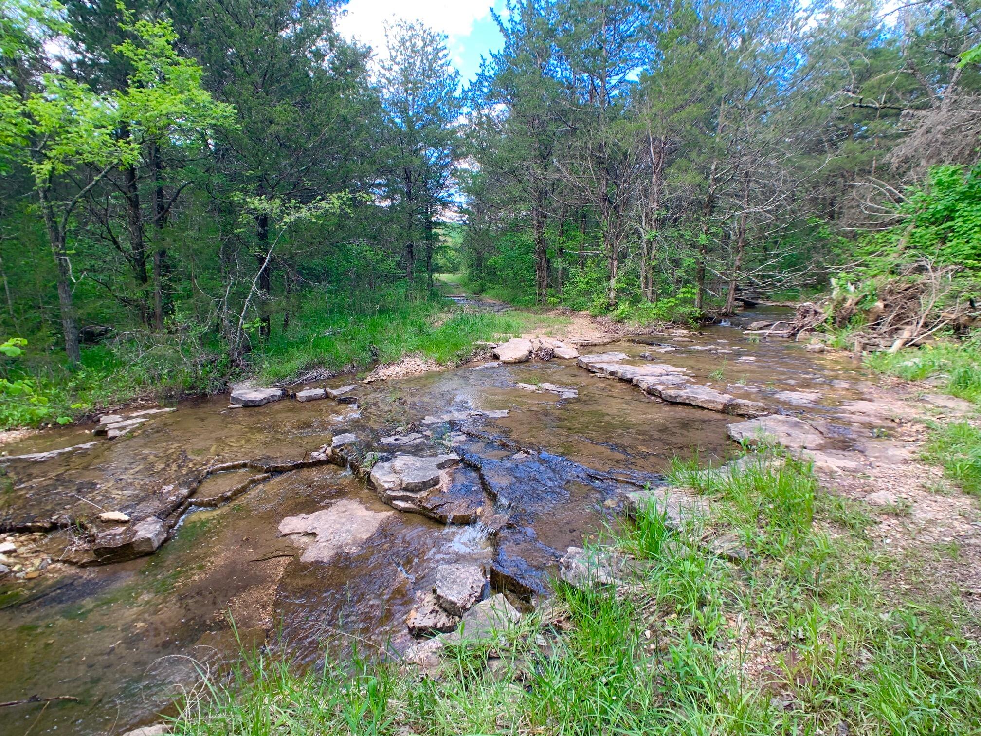 Photo 36 - Land for sale – 000  Farm Road 1280   Shell Knob, MO