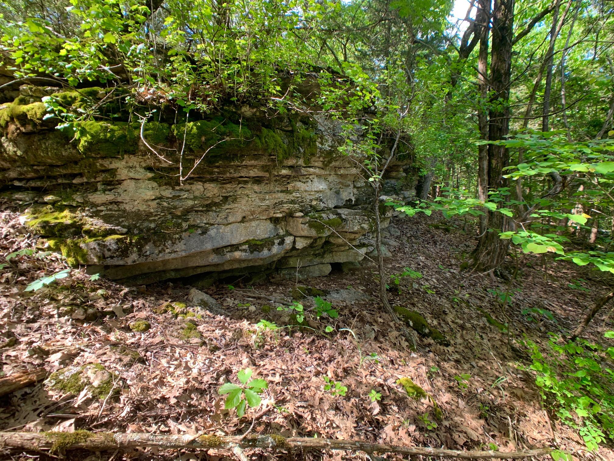 Photo 25 - Land for sale – 000  Farm Road 1280   Shell Knob, MO