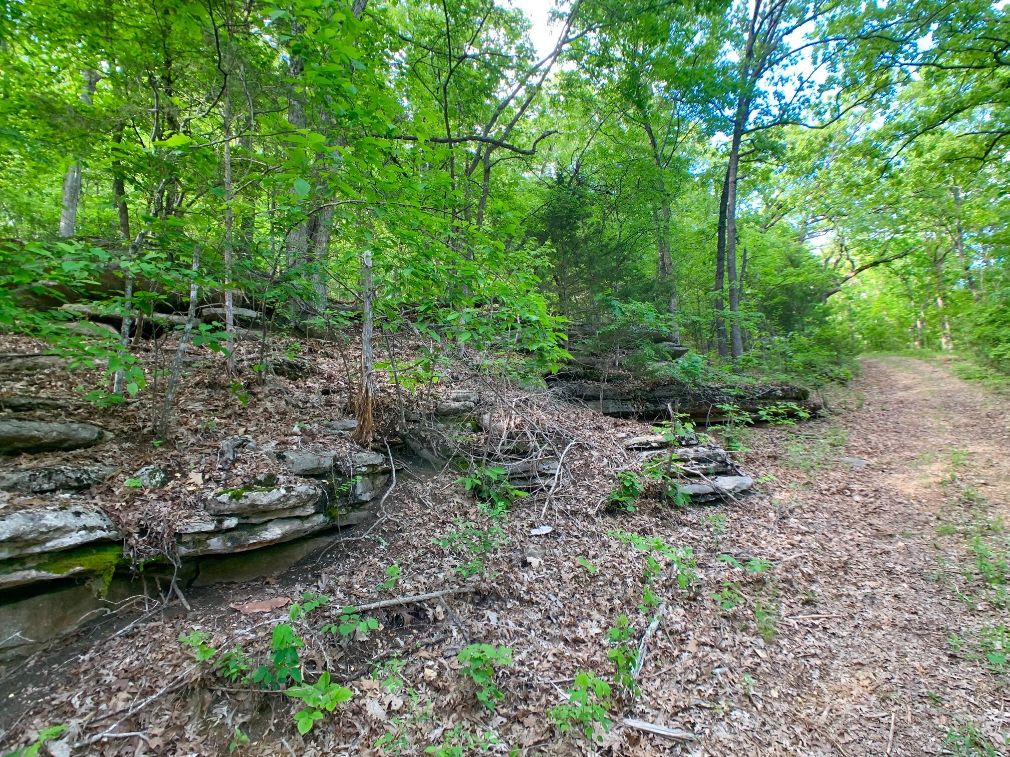 Photo 54 - Land for sale – 000  Farm Road 1280   Shell Knob, MO