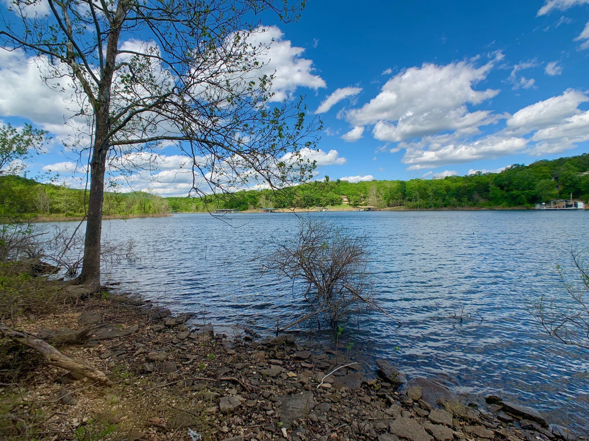 Photo 15 - Land for sale – 000  Farm Road 1280   Shell Knob, MO