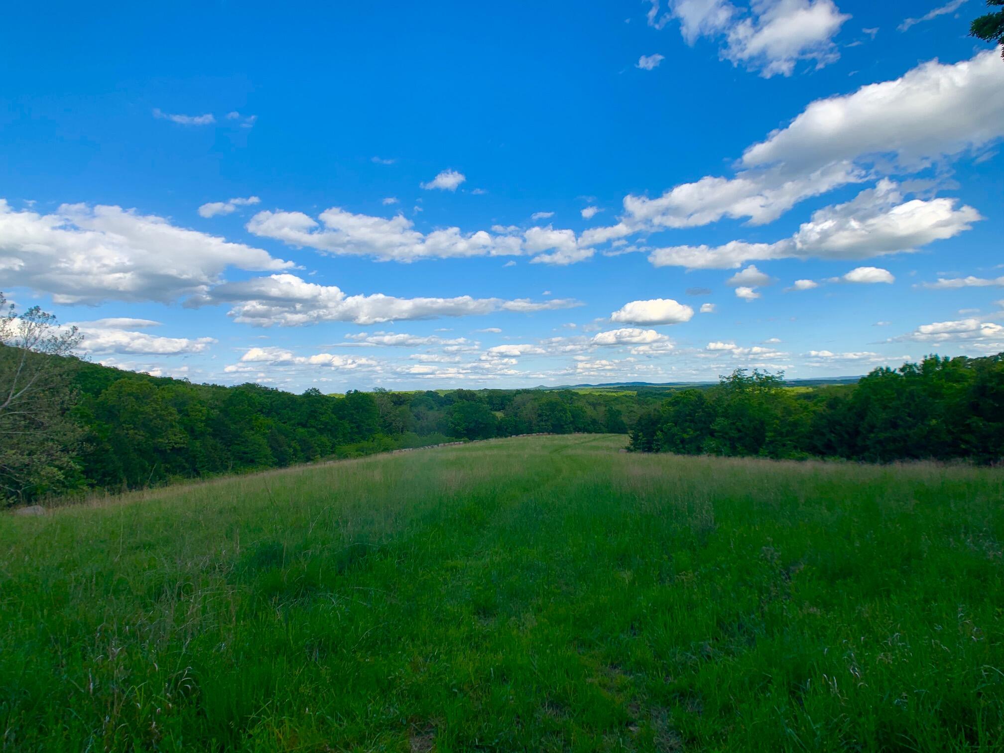 Photo 62 - Land for sale – 000  Farm Road 1280   Shell Knob, MO