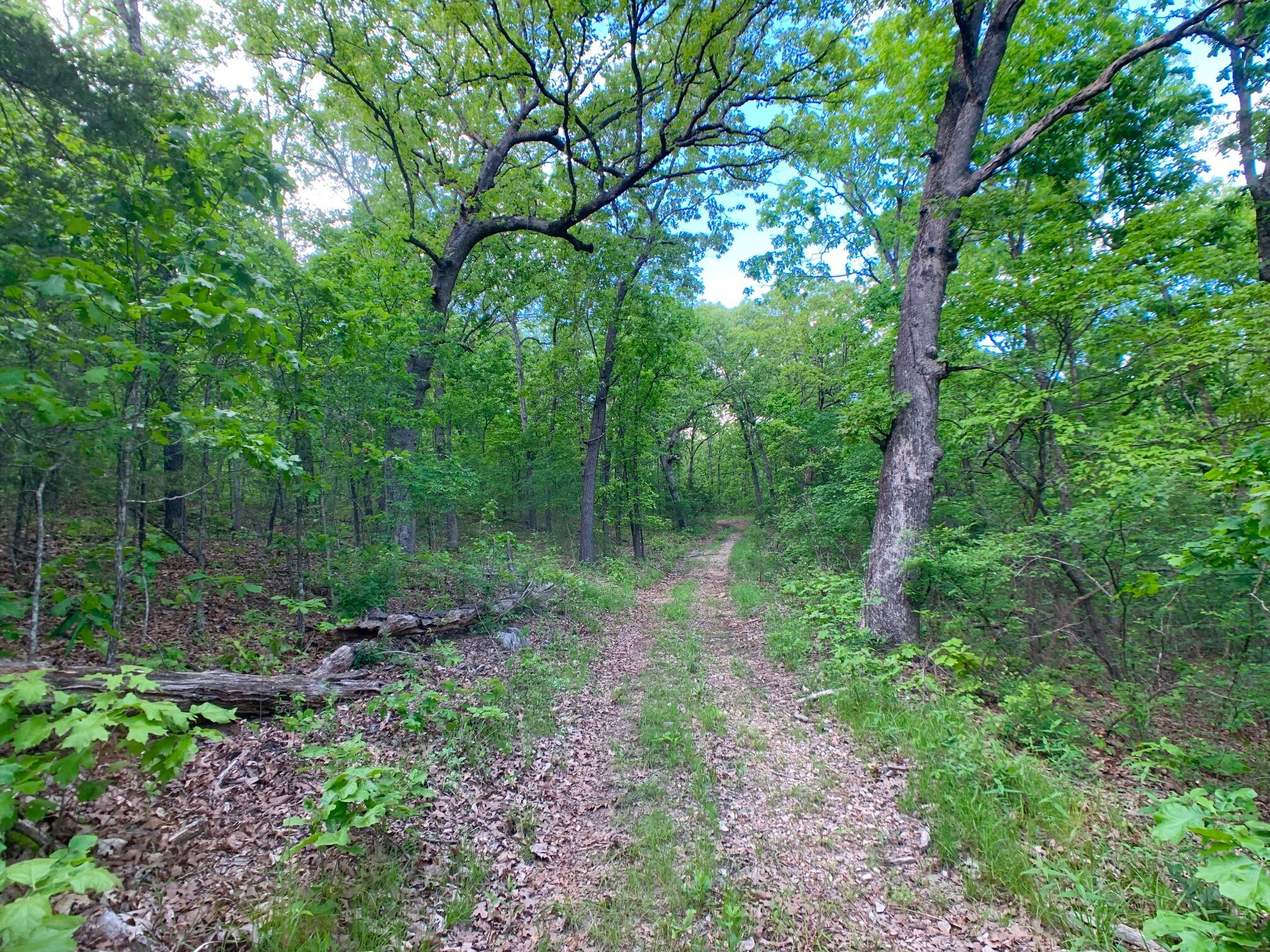 Photo 51 - Land for sale – 000  Farm Road 1280   Shell Knob, MO