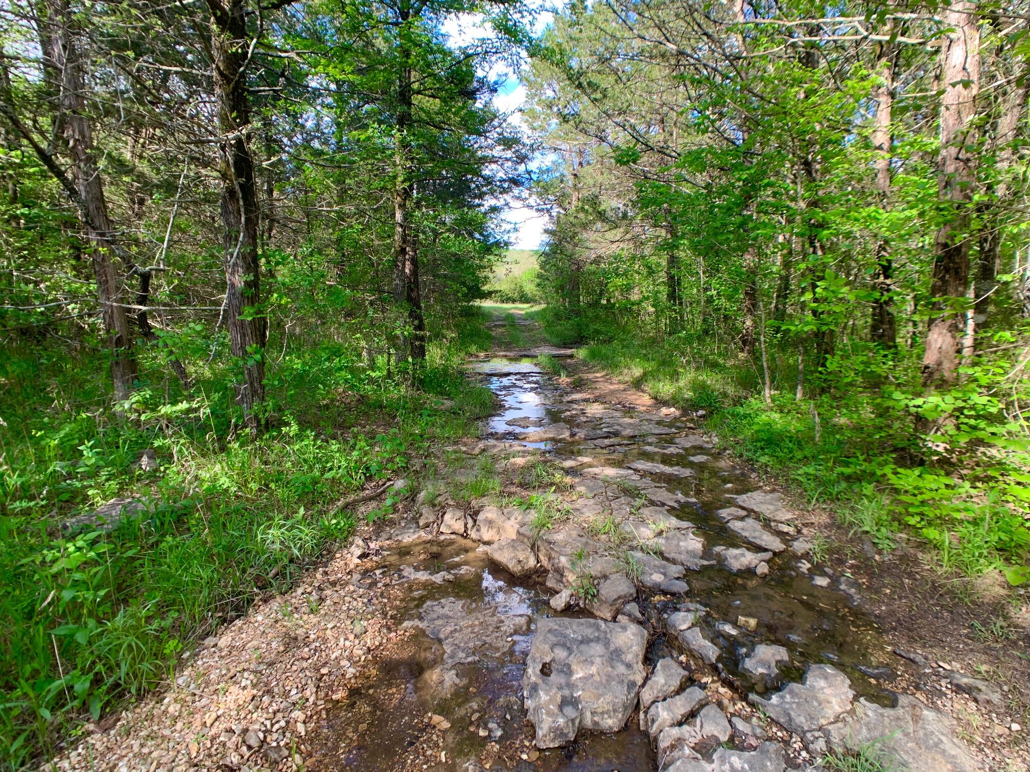 Photo 45 - Land for sale – 000  Farm Road 1280   Shell Knob, MO