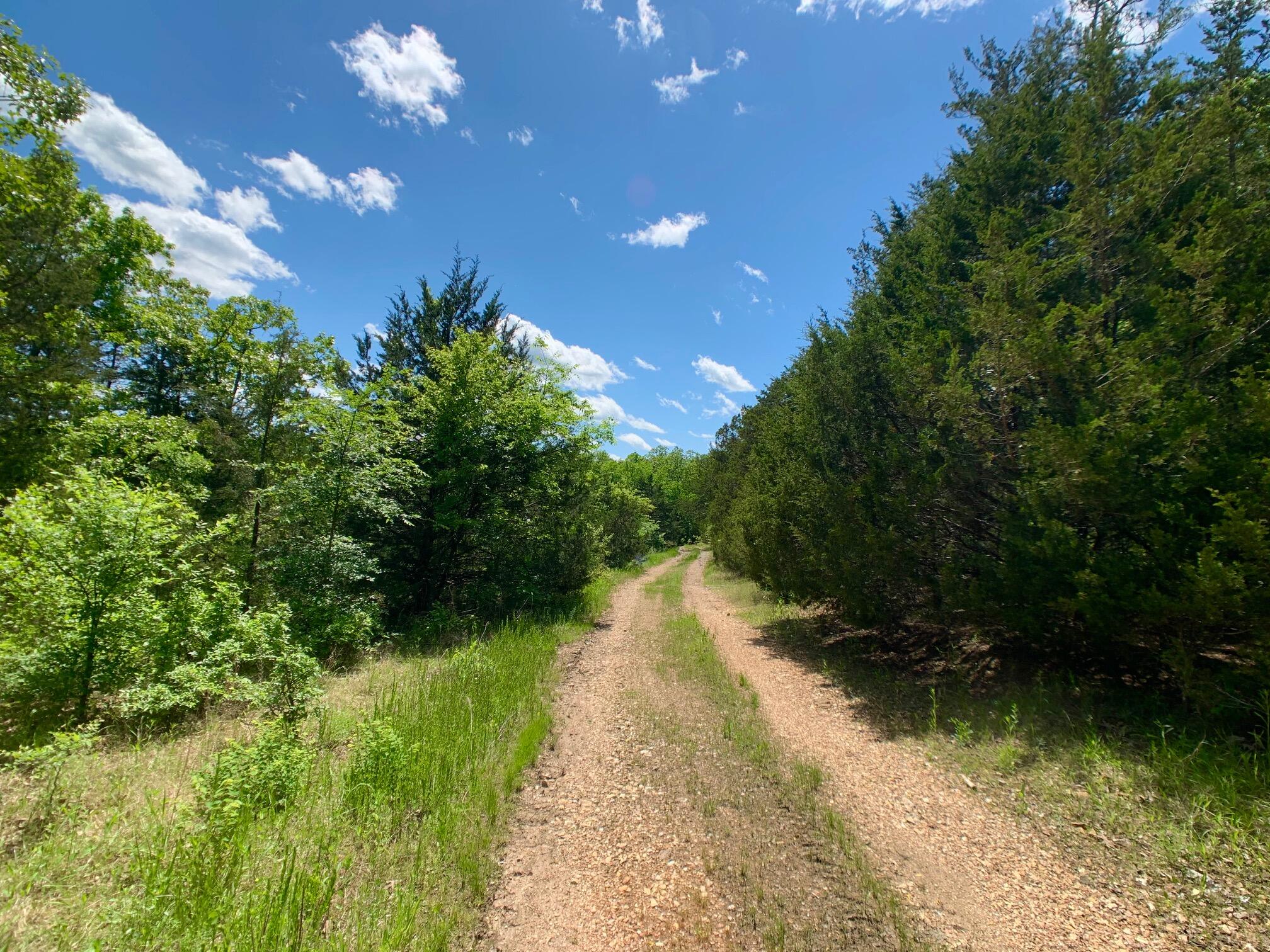 Land for sale – 000  Farm Road 1280   Shell Knob, MO