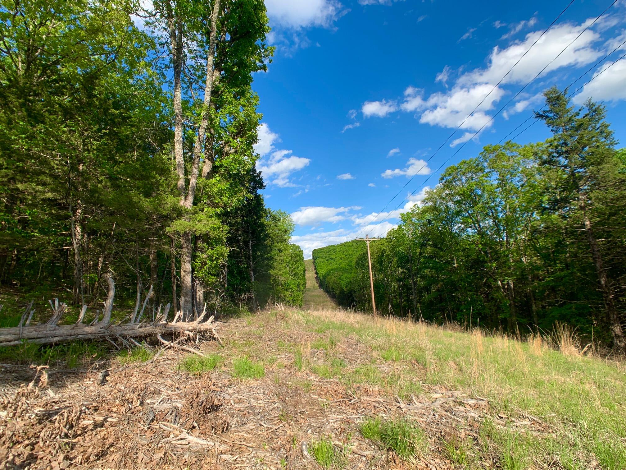 Photo 49 - Land for sale – 000  Farm Road 1280   Shell Knob, MO