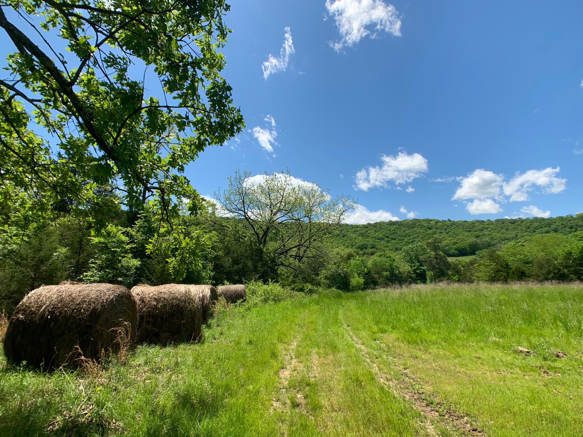 Photo 4 - Land for sale – 000  Farm Road 1280   Shell Knob, MO