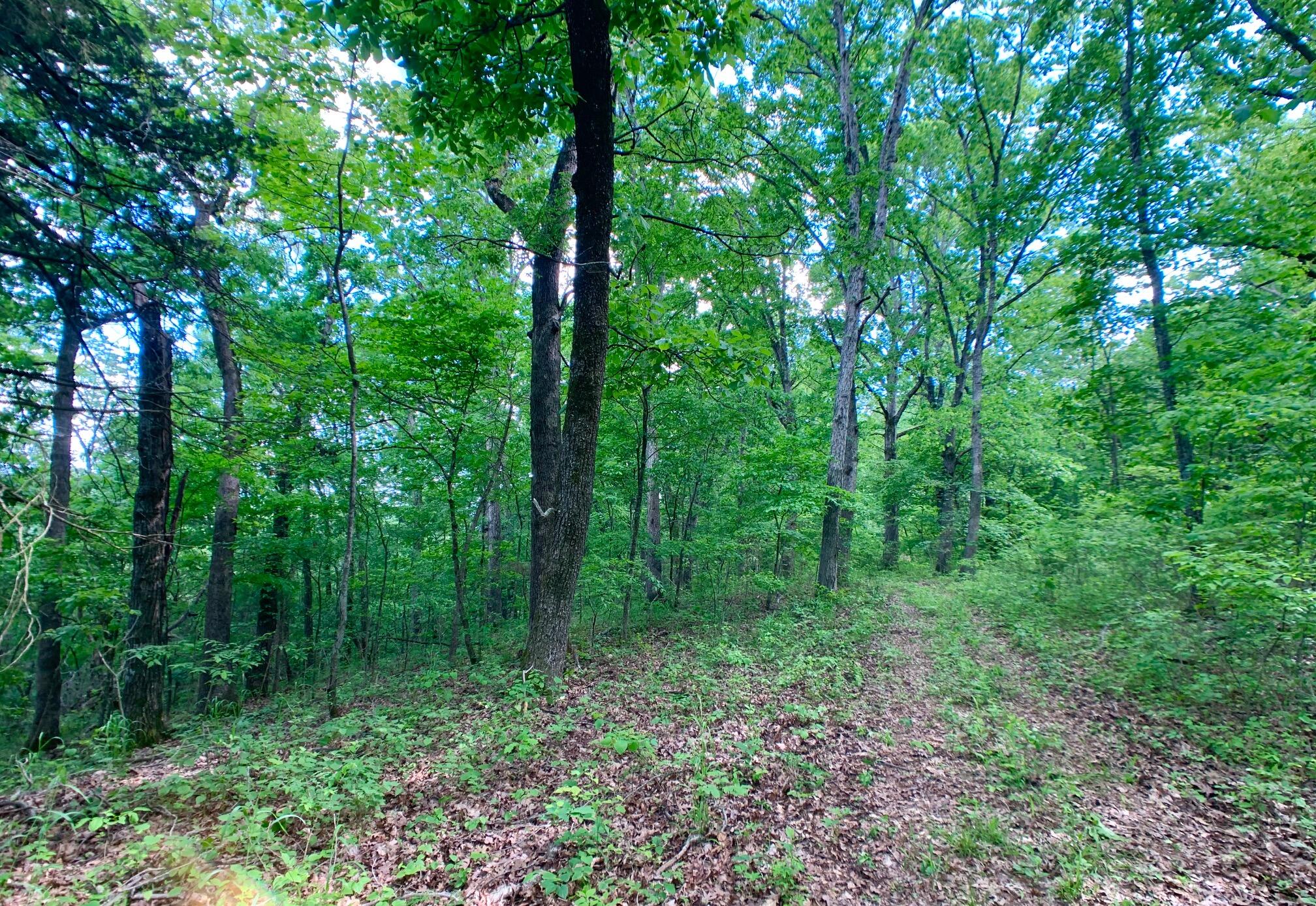 Photo 22 - Land for sale – 000  Farm Road 1280   Shell Knob, MO