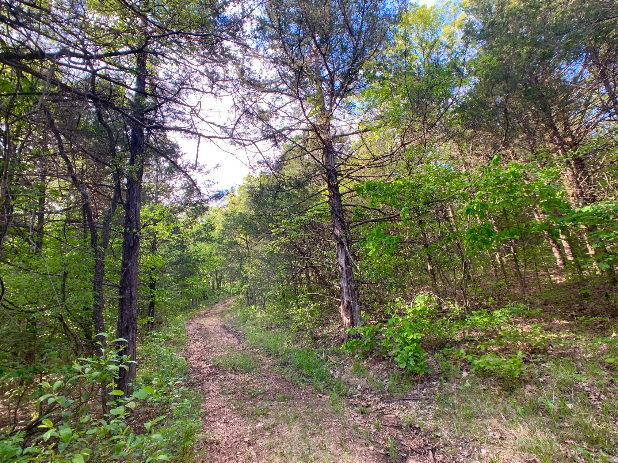 Photo 48 - Land for sale – 000  Farm Road 1280   Shell Knob, MO