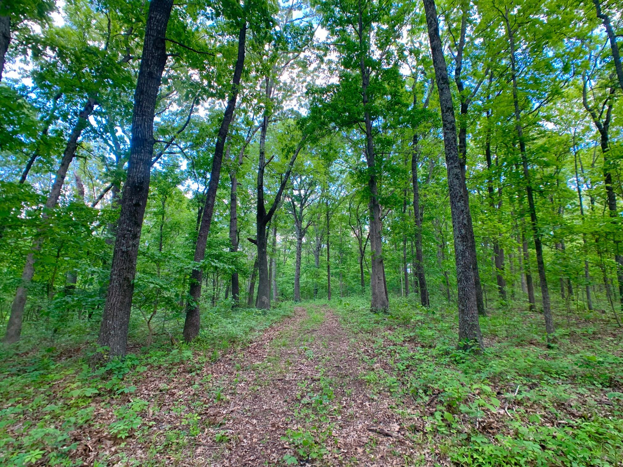Photo 57 - Land for sale – 000  Farm Road 1280   Shell Knob, MO