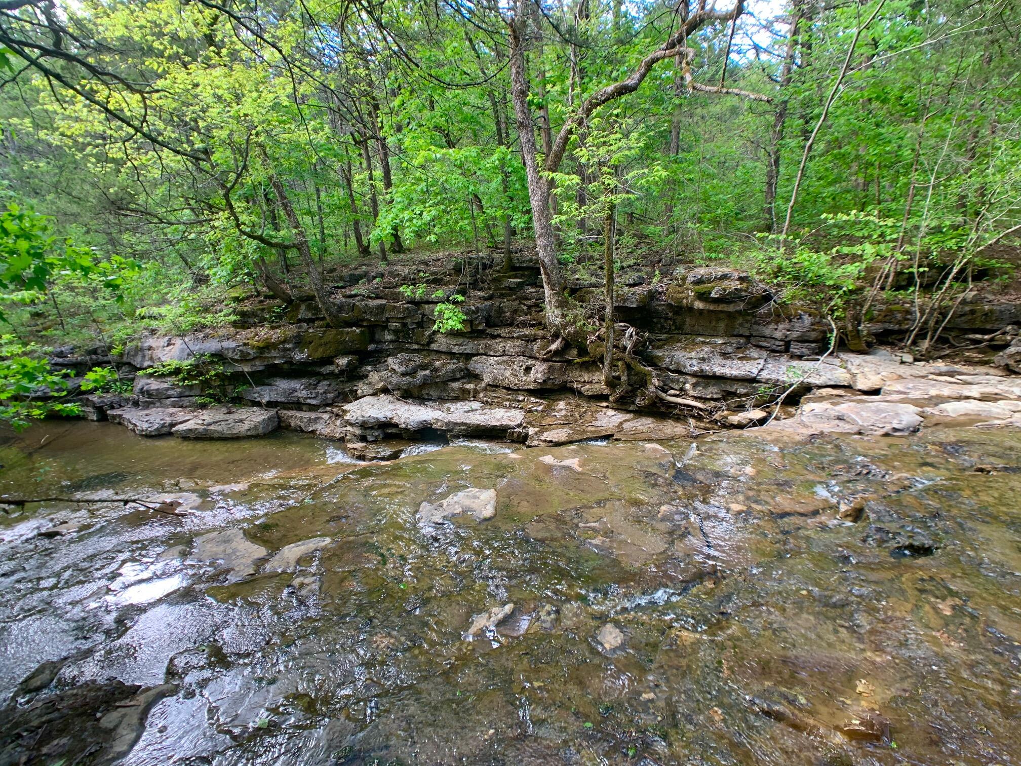Photo 38 - Land for sale – 000  Farm Road 1280   Shell Knob, MO