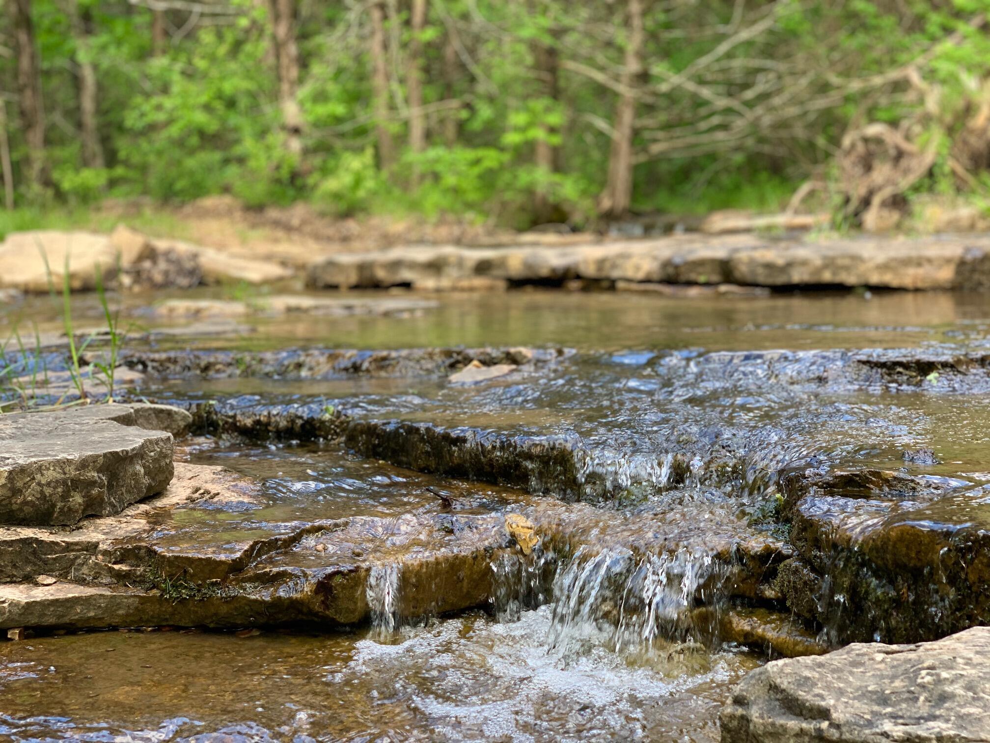Photo 37 - Land for sale – 000  Farm Road 1280   Shell Knob, MO