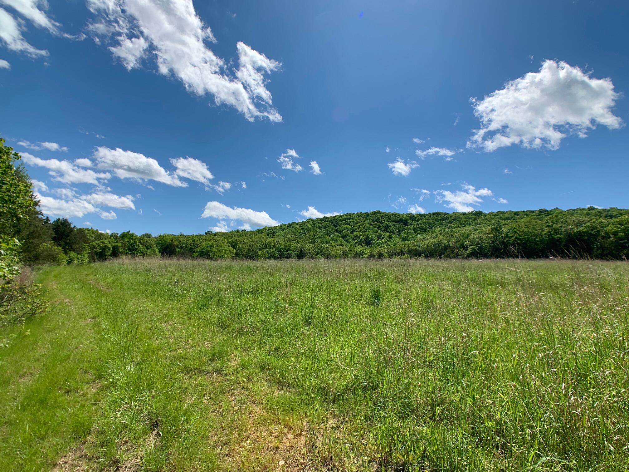 Photo 6 - Land for sale – 000  Farm Road 1280   Shell Knob, MO