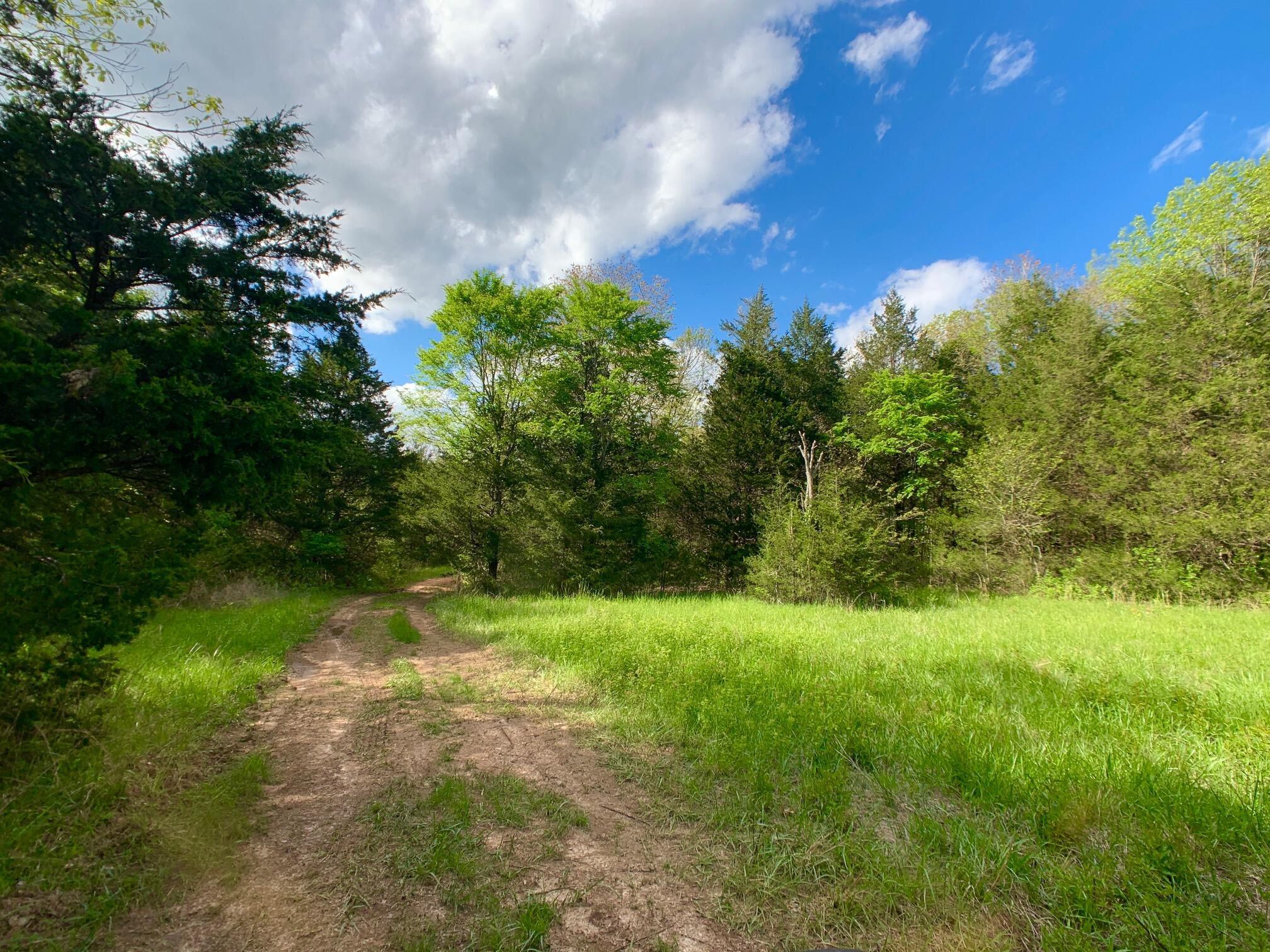 Photo 35 - Land for sale – 000  Farm Road 1280   Shell Knob, MO