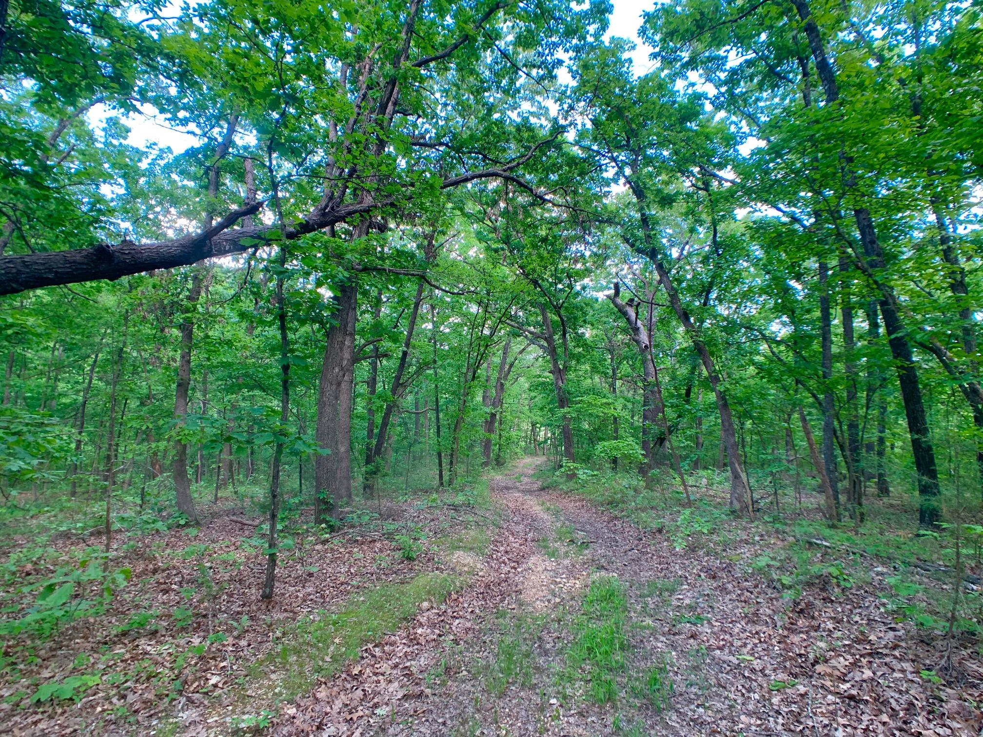 Photo 61 - Land for sale – 000  Farm Road 1280   Shell Knob, MO