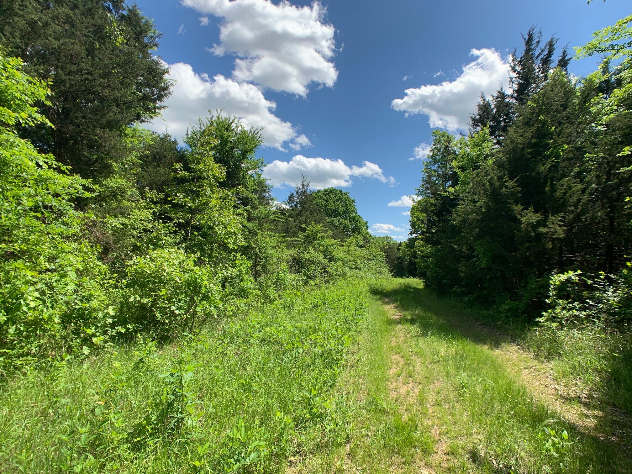 Photo 7 - Land for sale – 000  Farm Road 1280   Shell Knob, MO