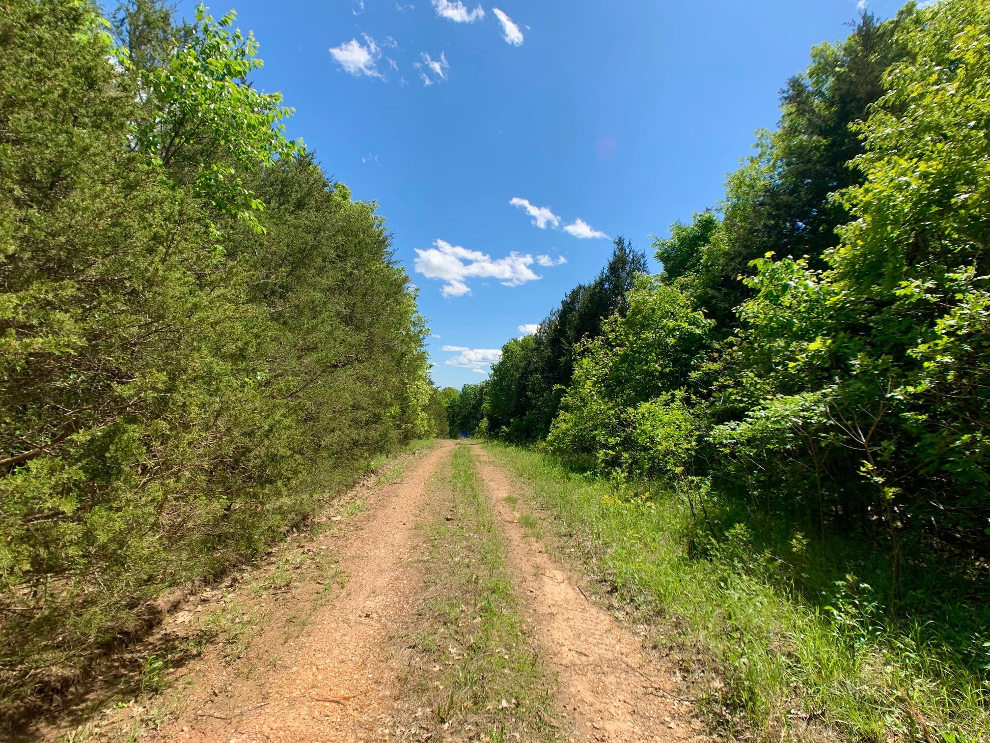 Photo 10 - Land for sale – 000  Farm Road 1280   Shell Knob, MO