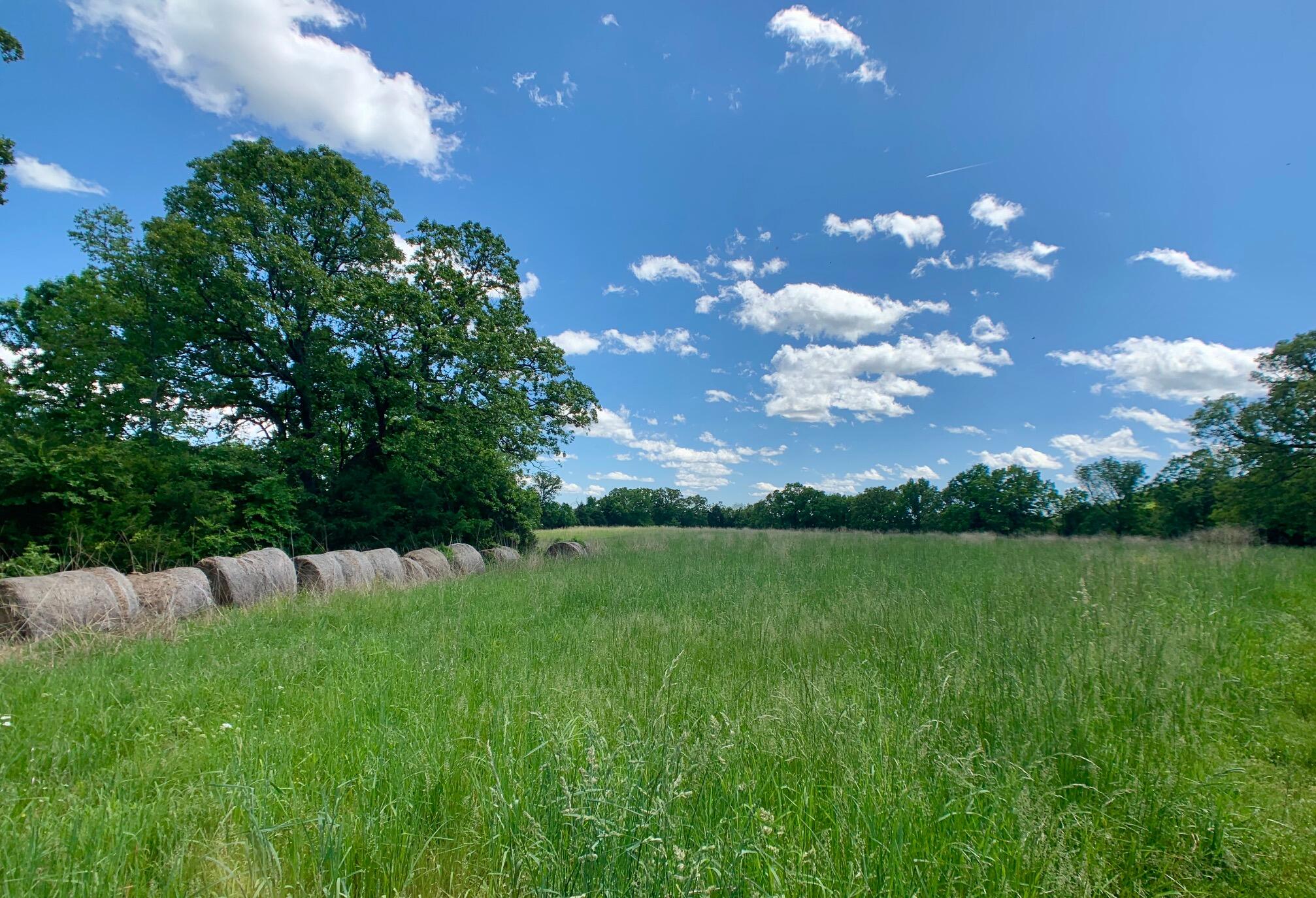 Photo 2 - Land for sale – 000  Farm Road 1280   Shell Knob, MO