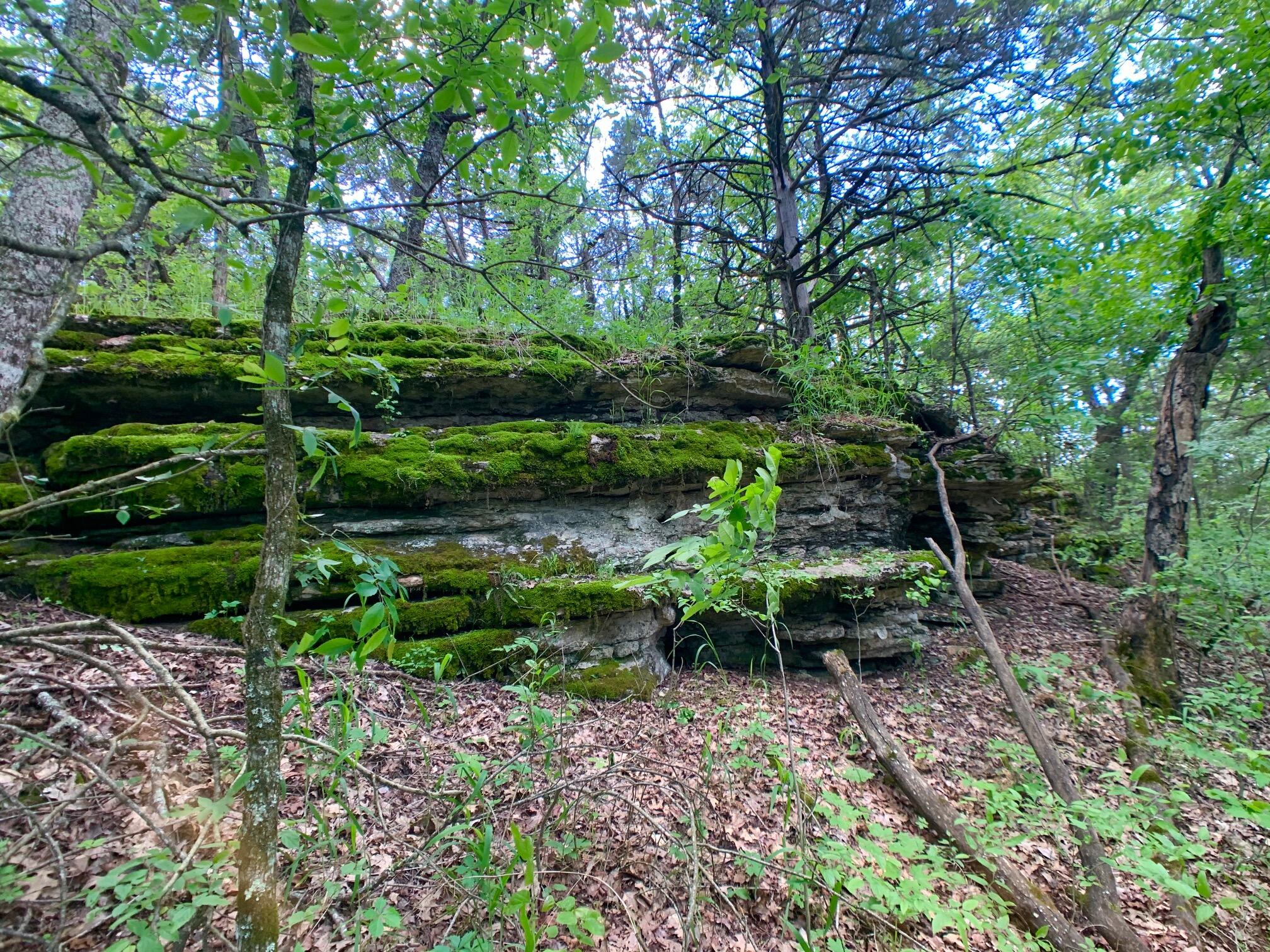 Photo 21 - Land for sale – 000  Farm Road 1280   Shell Knob, MO