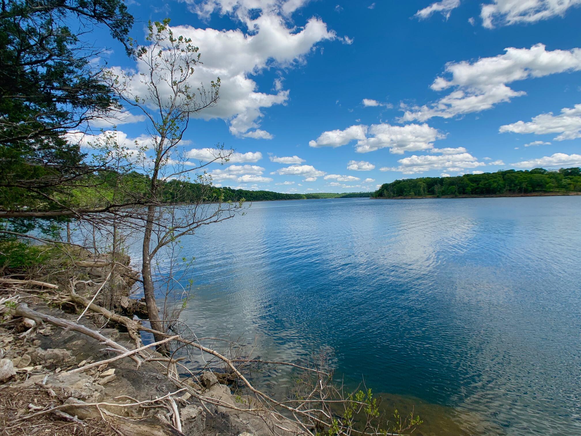 Photo 13 - Land for sale – 000  Farm Road 1280   Shell Knob, MO