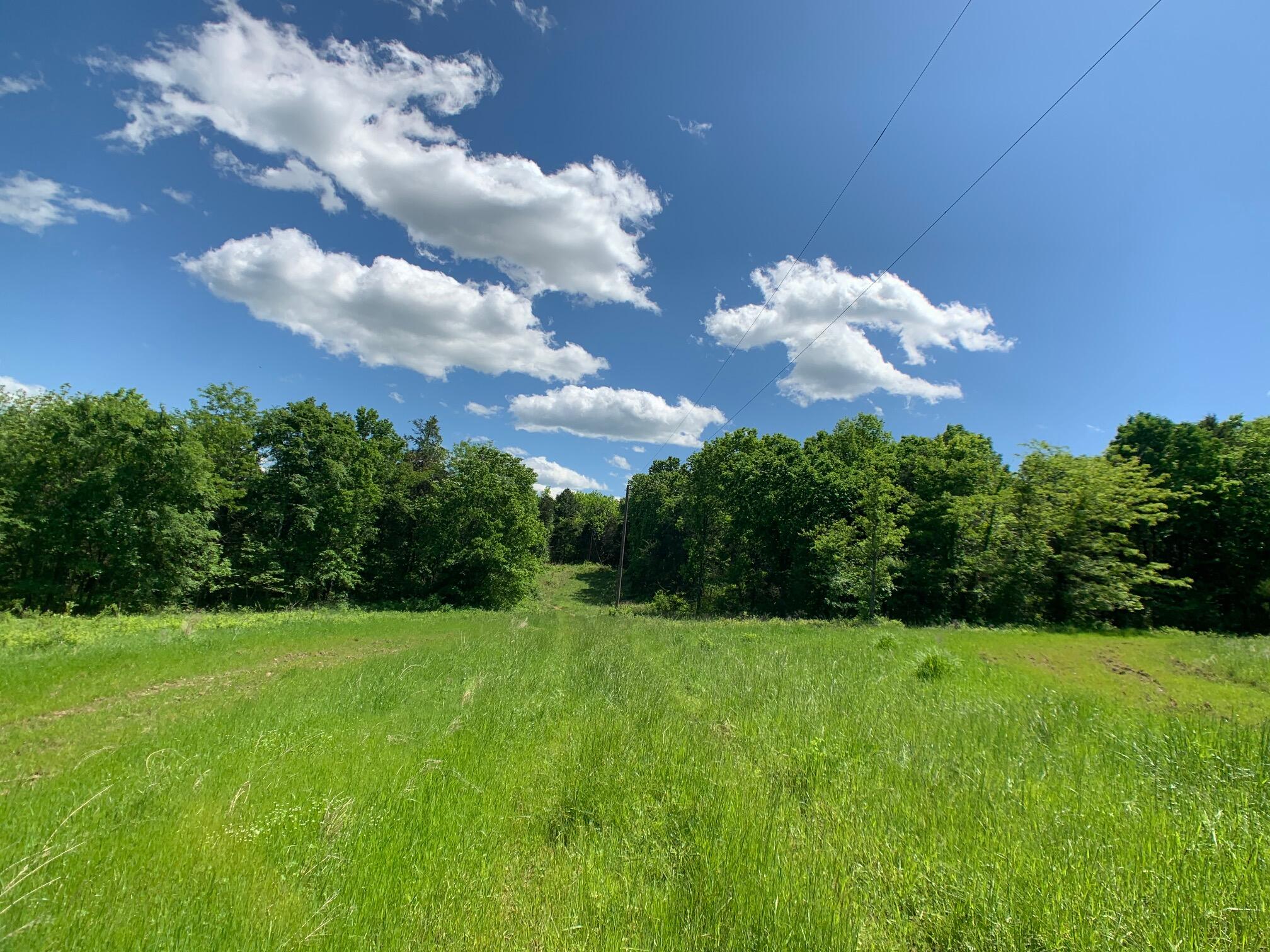 Photo 8 - Land for sale – 000  Farm Road 1280   Shell Knob, MO