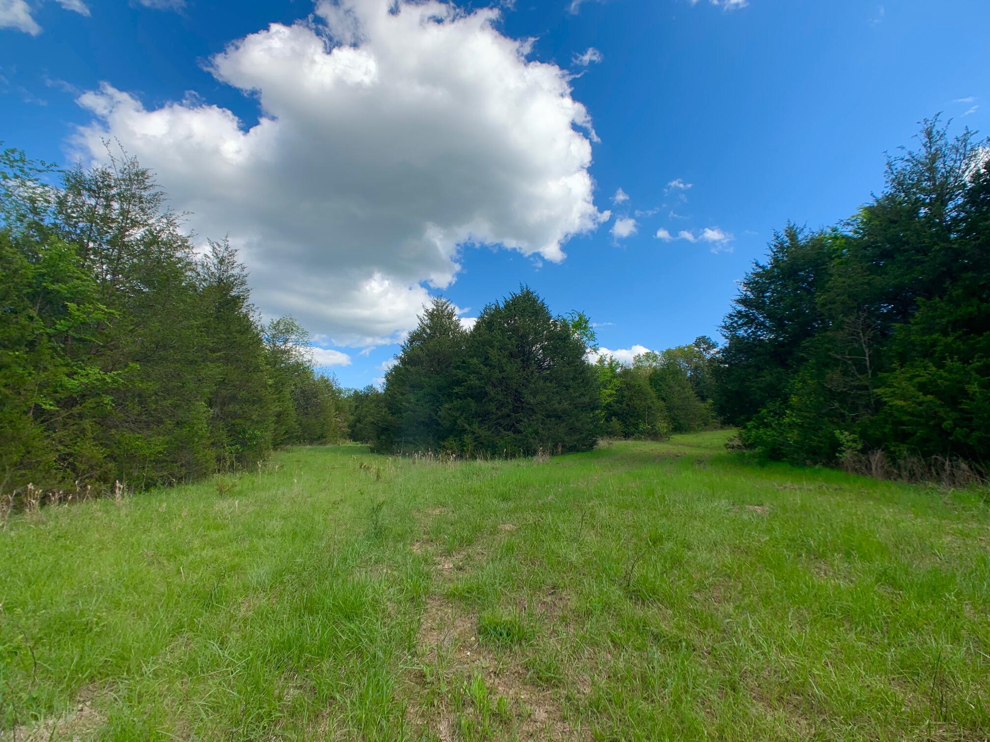 Photo 34 - Land for sale – 000  Farm Road 1280   Shell Knob, MO