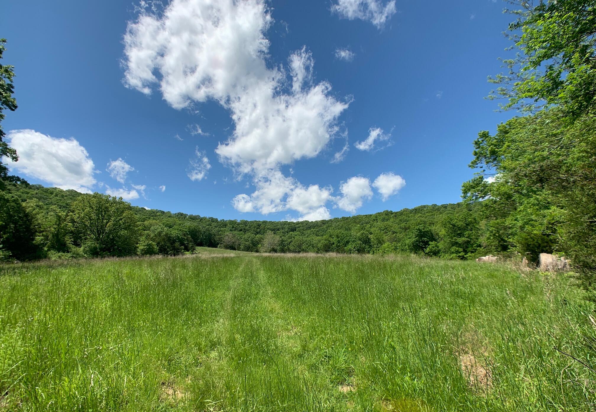 Photo 5 - Land for sale – 000  Farm Road 1280   Shell Knob, MO
