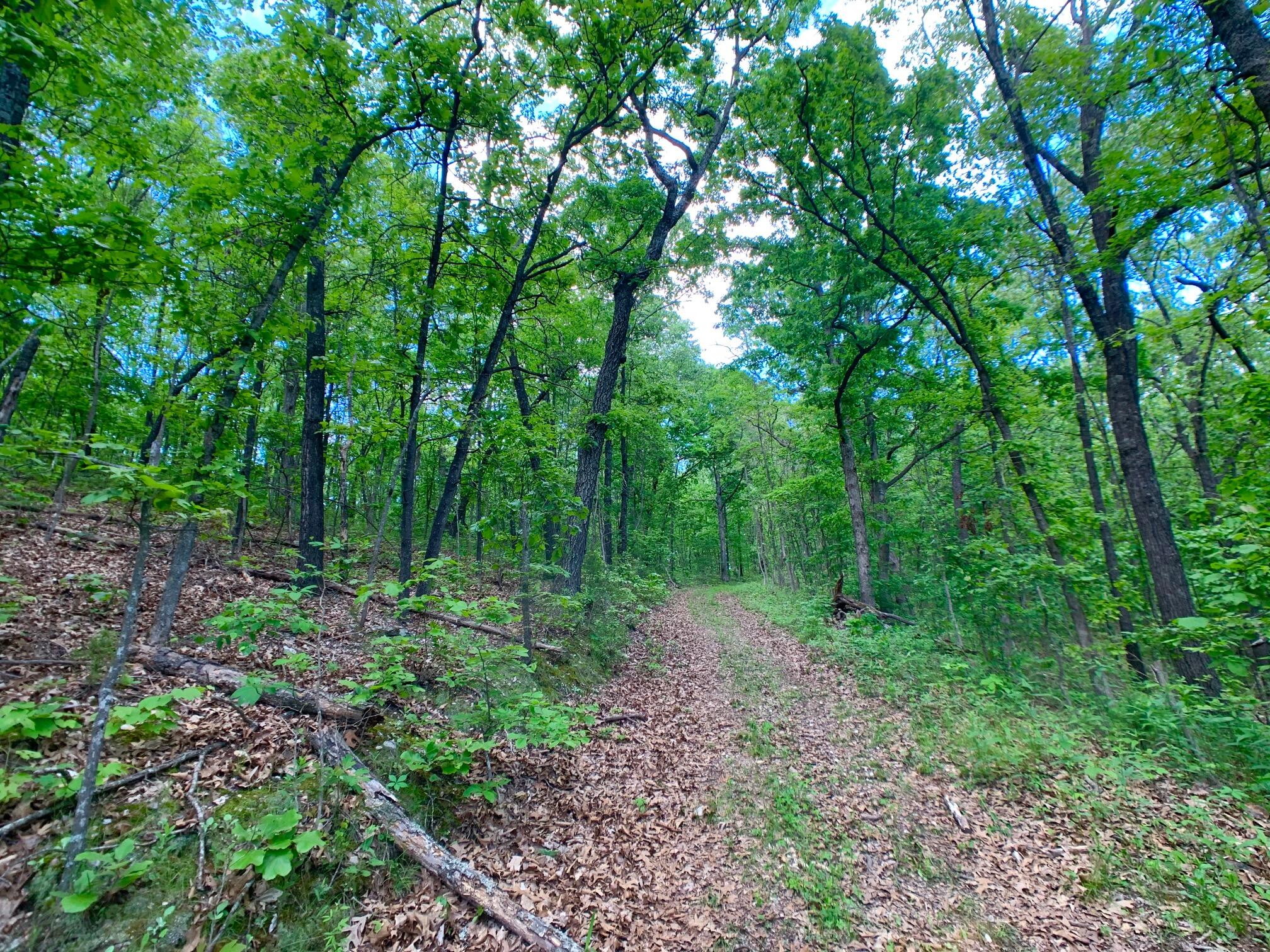 Photo 55 - Land for sale – 000  Farm Road 1280   Shell Knob, MO