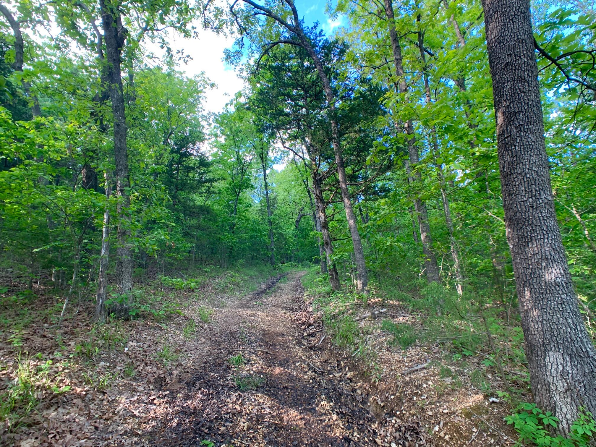 Photo 50 - Land for sale – 000  Farm Road 1280   Shell Knob, MO