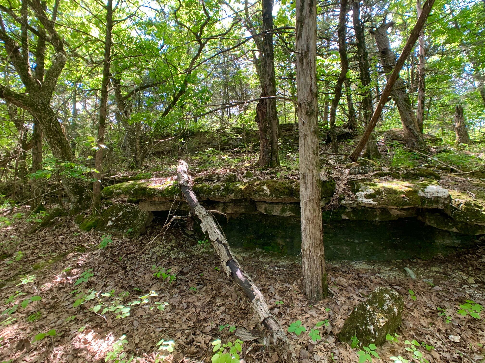 Photo 23 - Land for sale – 000  Farm Road 1280   Shell Knob, MO