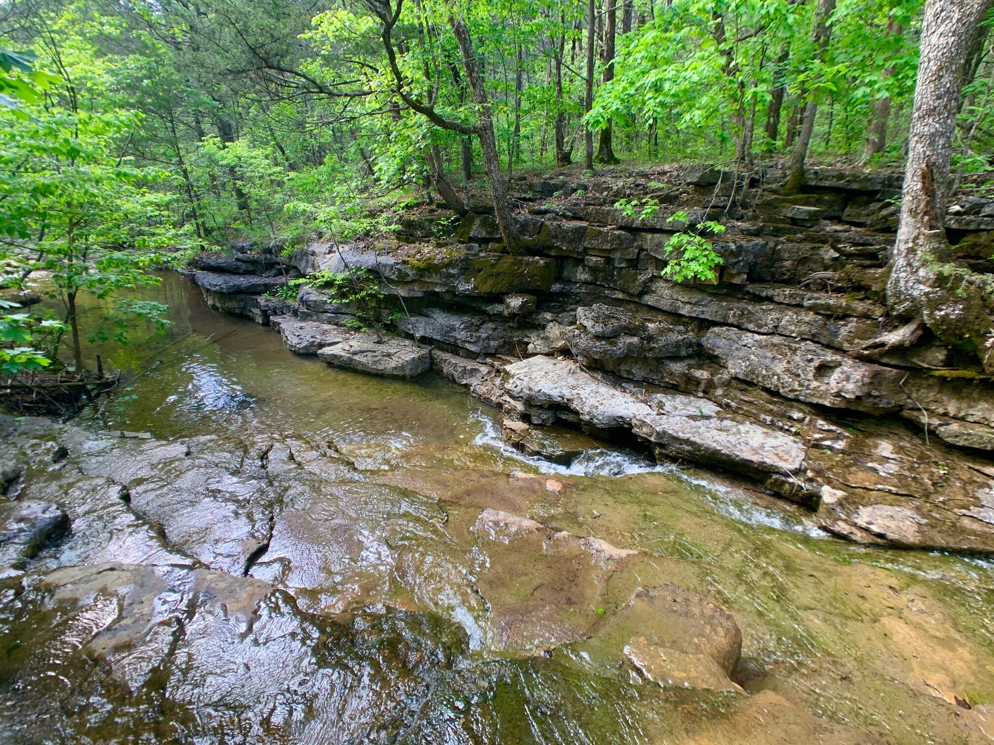 Photo 39 - Land for sale – 000  Farm Road 1280   Shell Knob, MO